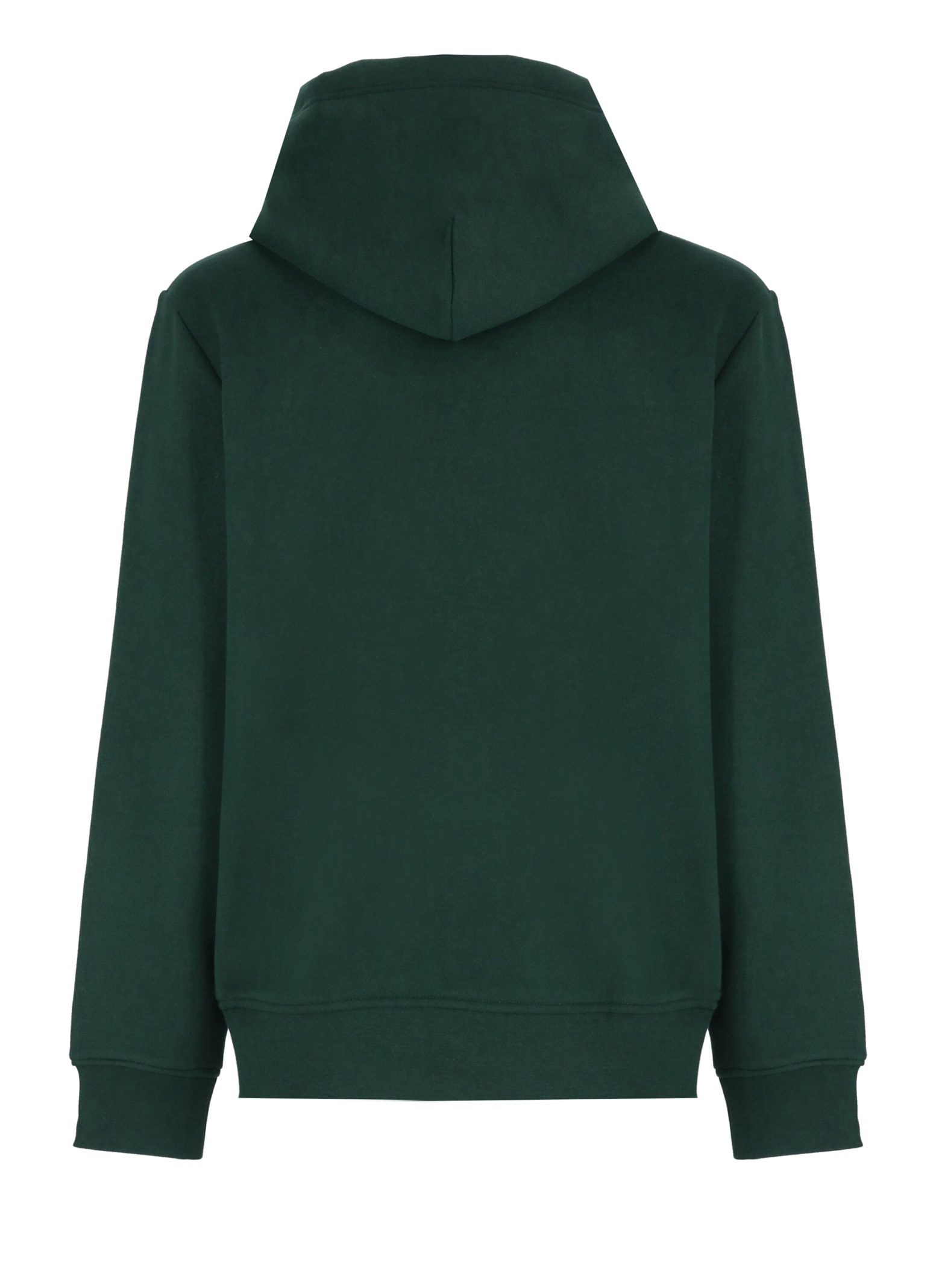 Shop Polo Ralph Lauren Hoodie With Logo In Verde