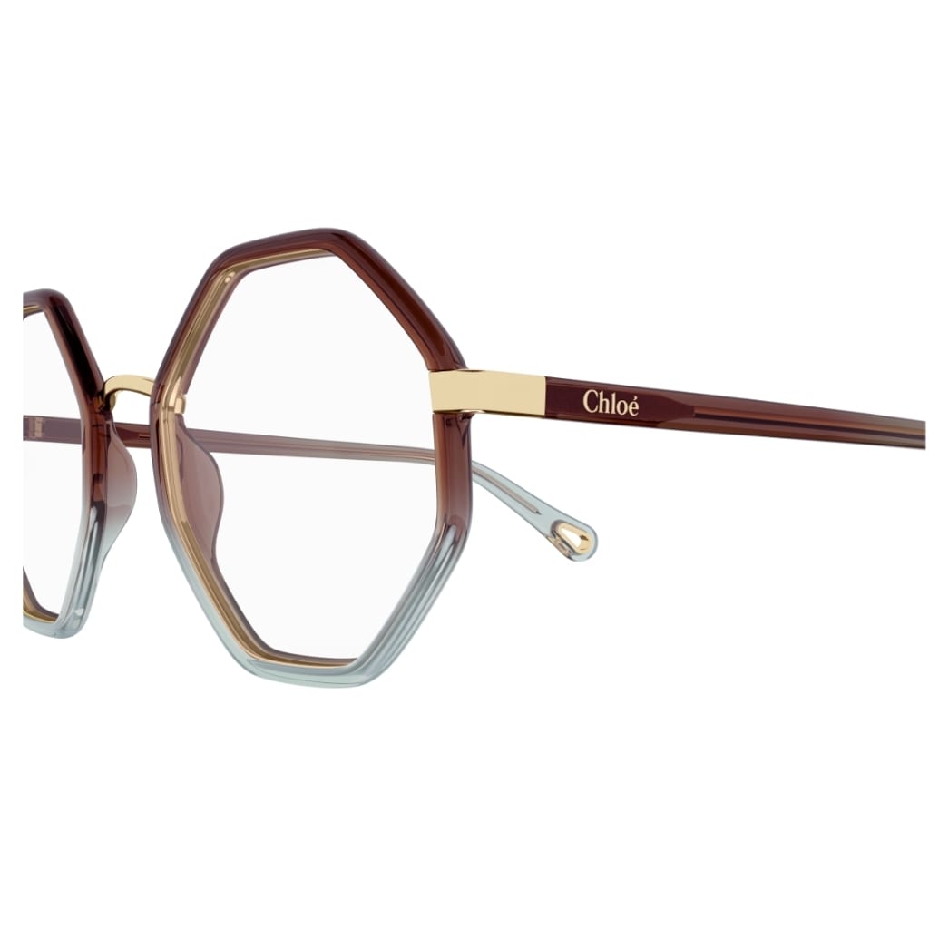 Shop Chloé Ch0132o 008 Glasses In Brown And Green