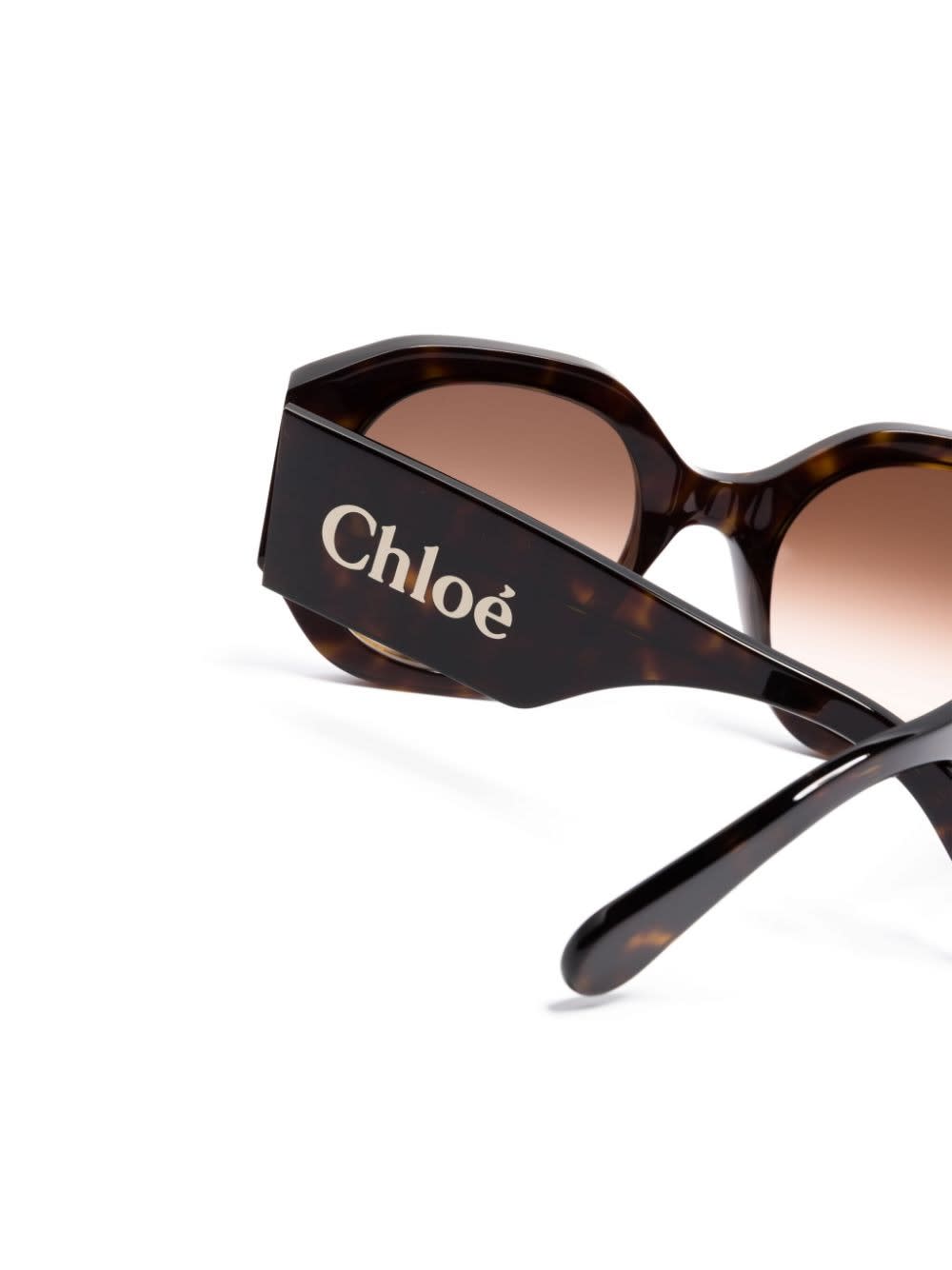 Shop Chloé Naomy Sunglasses In Dark Havana/brown