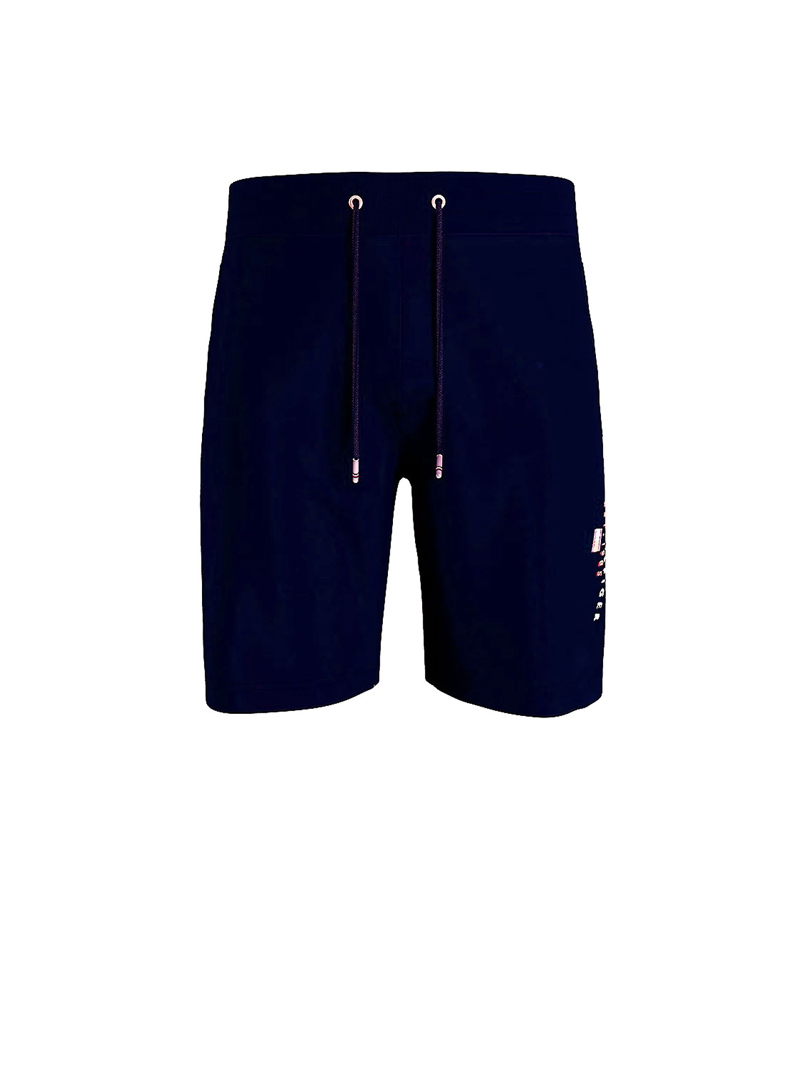Tommy Hilfiger Bermuda Blue Shorts