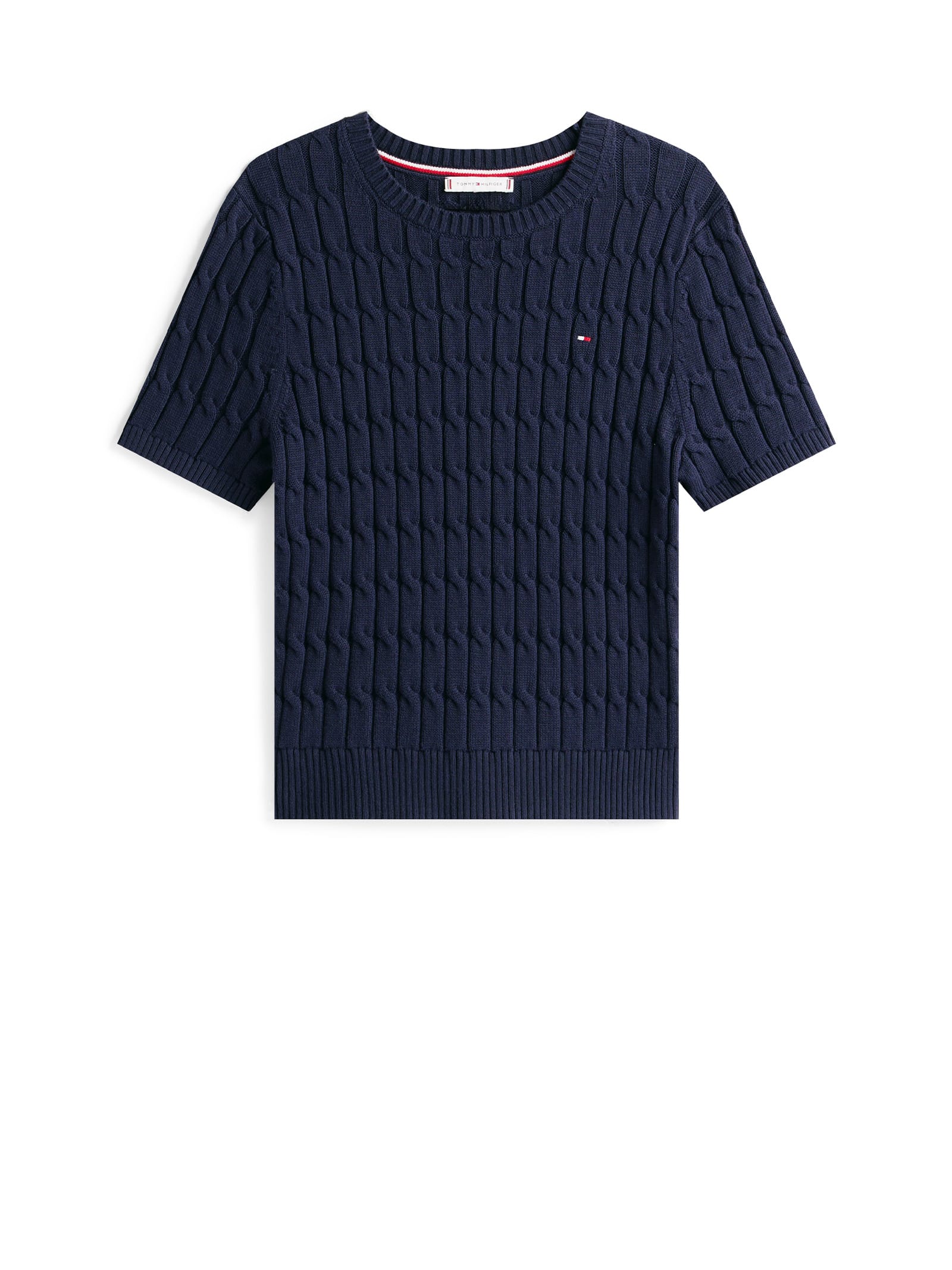Tommy Hilfiger T-shirts And Polos In Blue