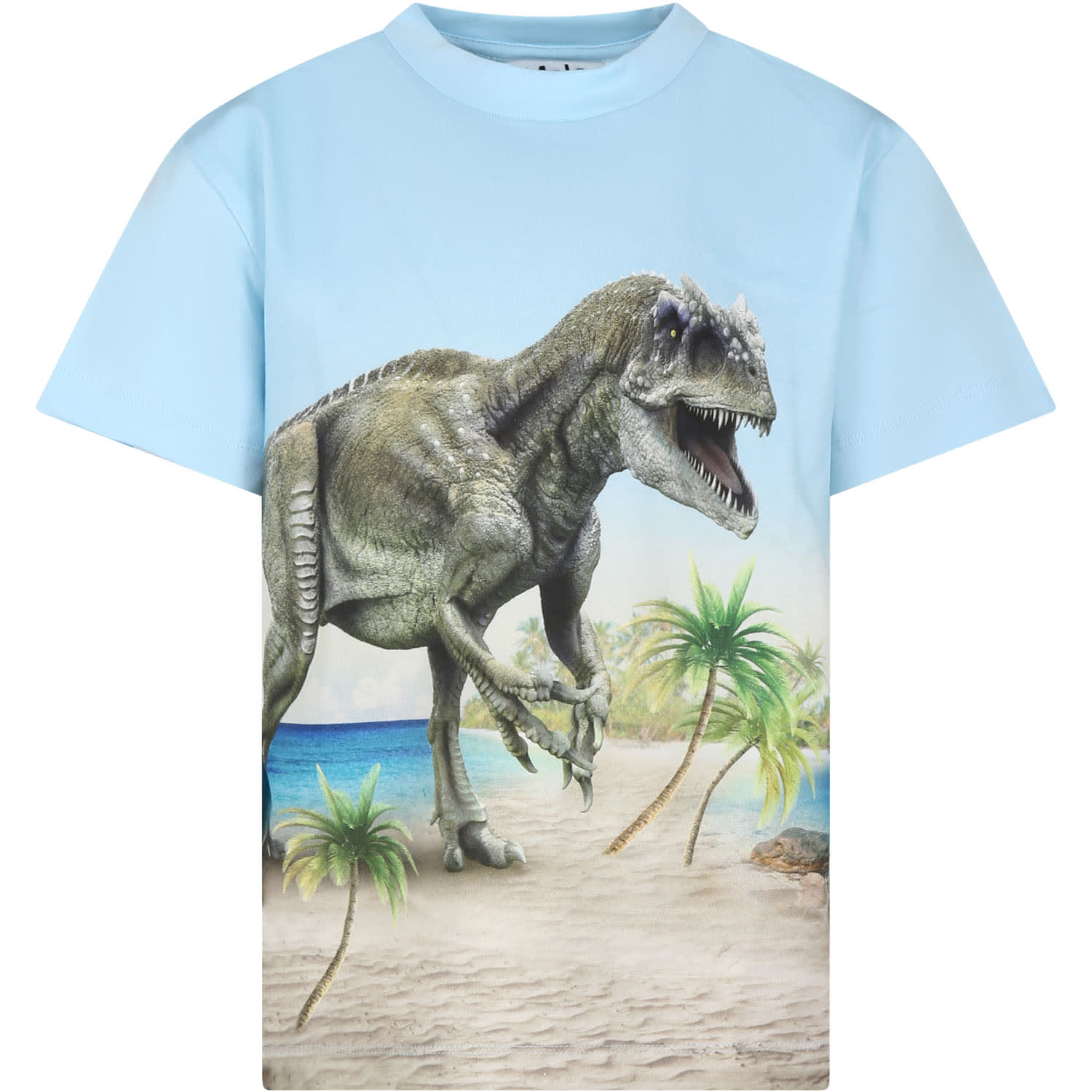 Molo Kids' Light Blue T-shirt For Boy With Dinosaur Print