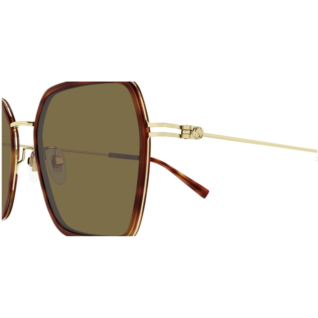 Gucci Havana-gold-brown Acetate Sunglasses In Gold