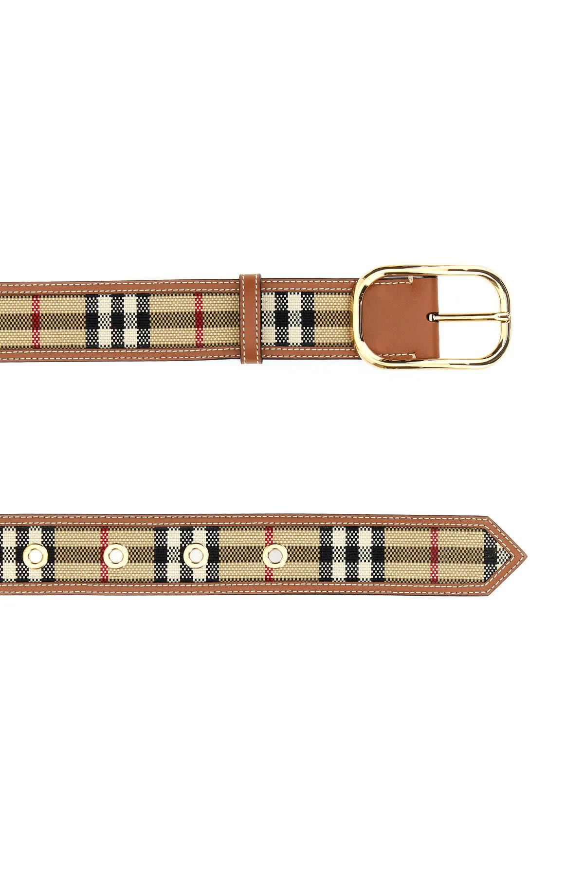 Shop Burberry Embroidered Fabric Belt In Brown/black