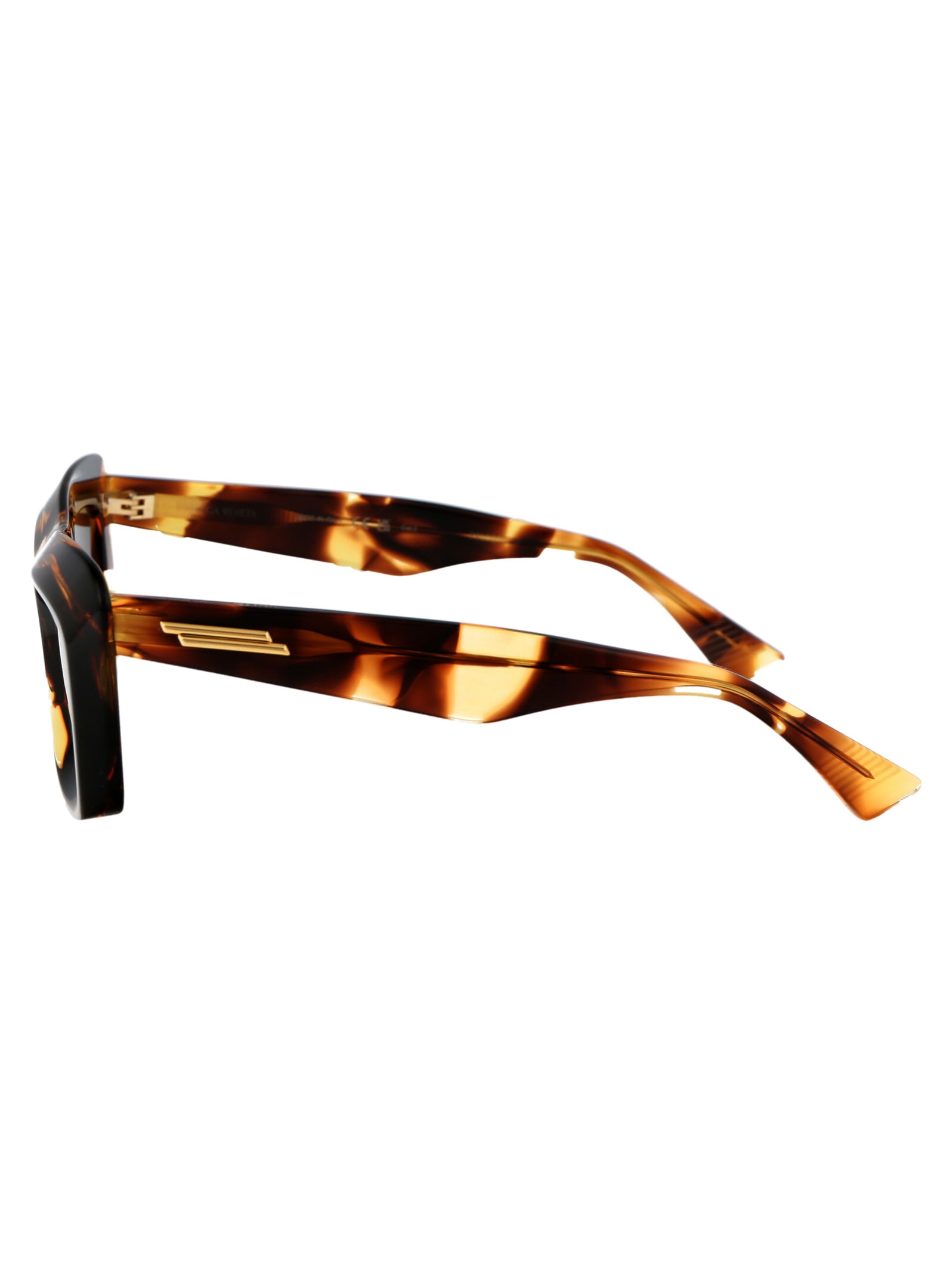 Bottega Veneta Women's Havana Acetate Sunglasses In 002 Havana Havana Brown