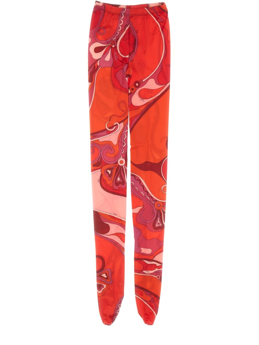 Shop Pucci Tights With Orchid Print In Multicolour