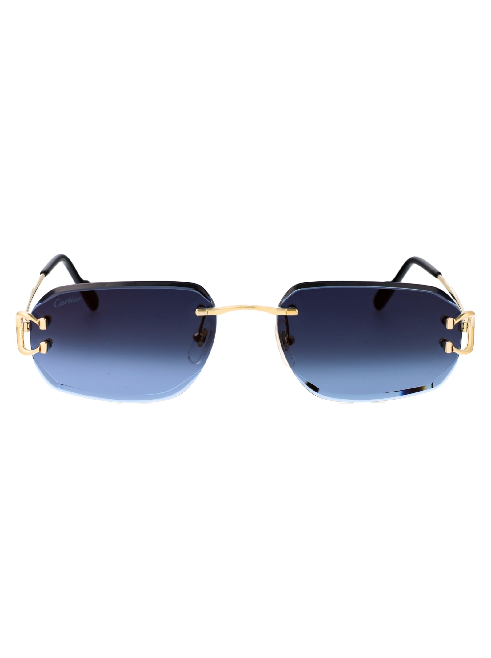 Ct0468s Sunglasses