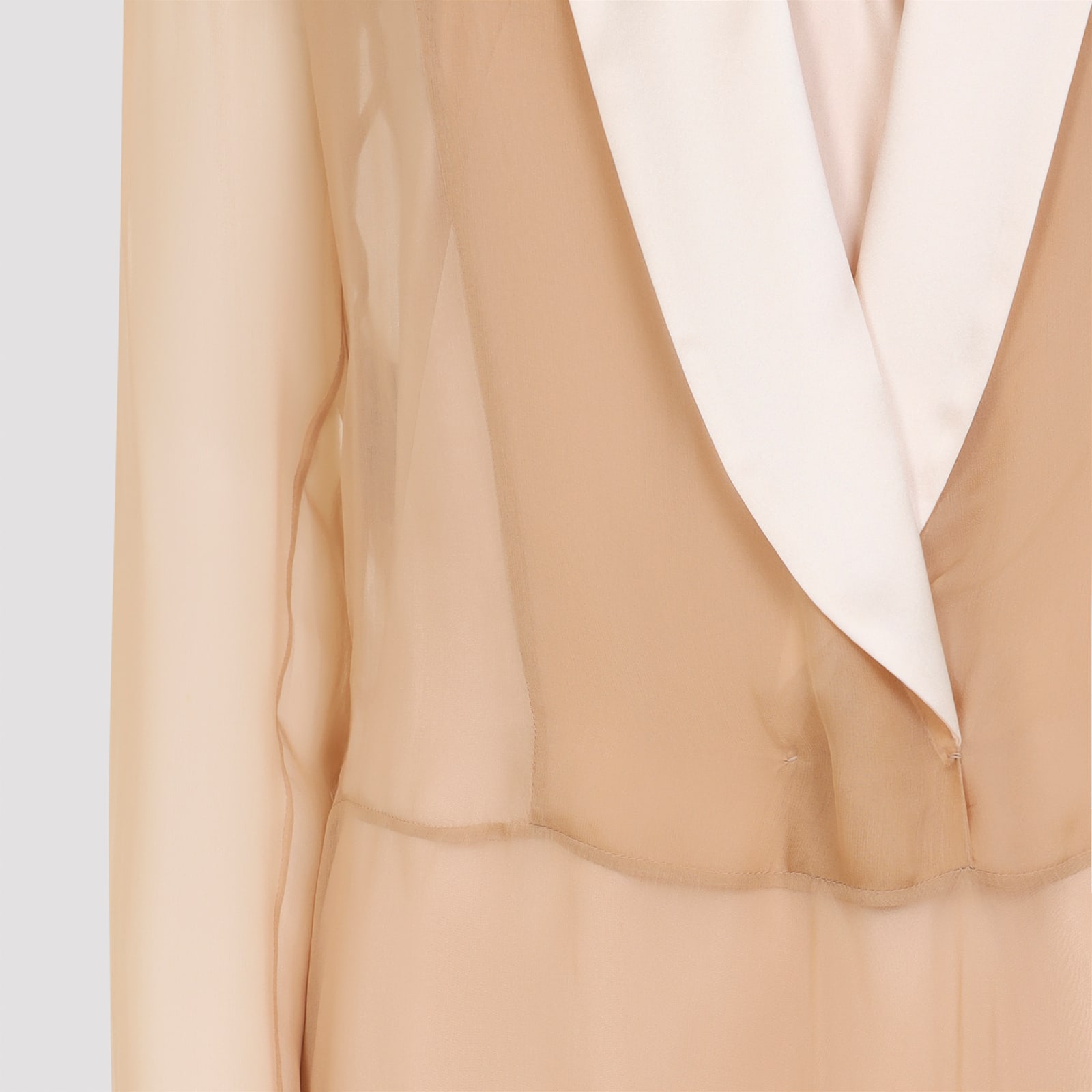 Alberta Ferretti Sheer Long Dress With V-neckline And Sleeves In Brown