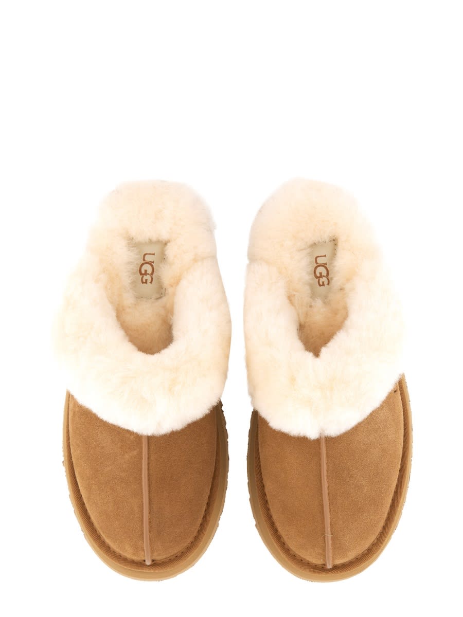 Ugg Disquette In Brown