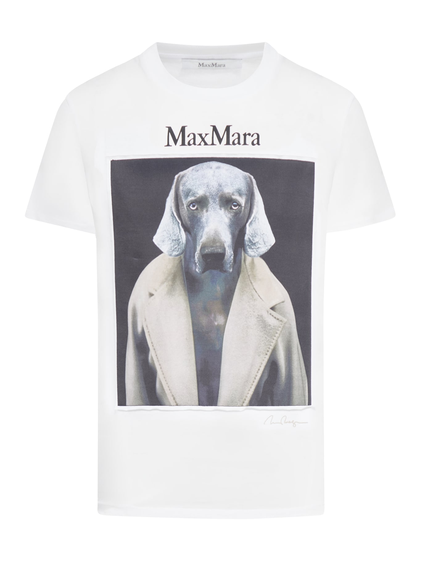 Shop Max Mara White Cotton Cipria T-shirt