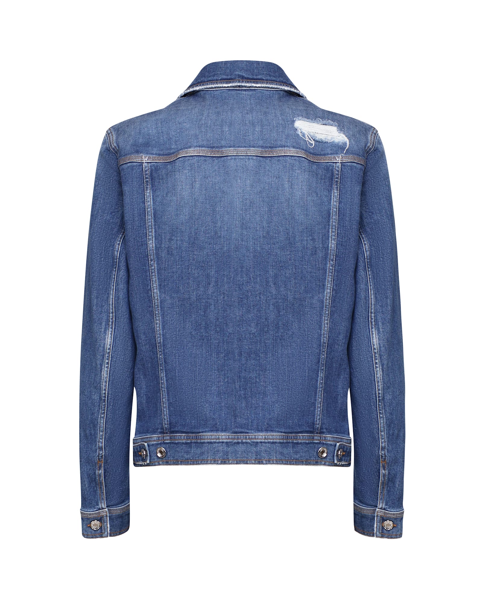 Shop Dolce & Gabbana Cotton Denim Jacket