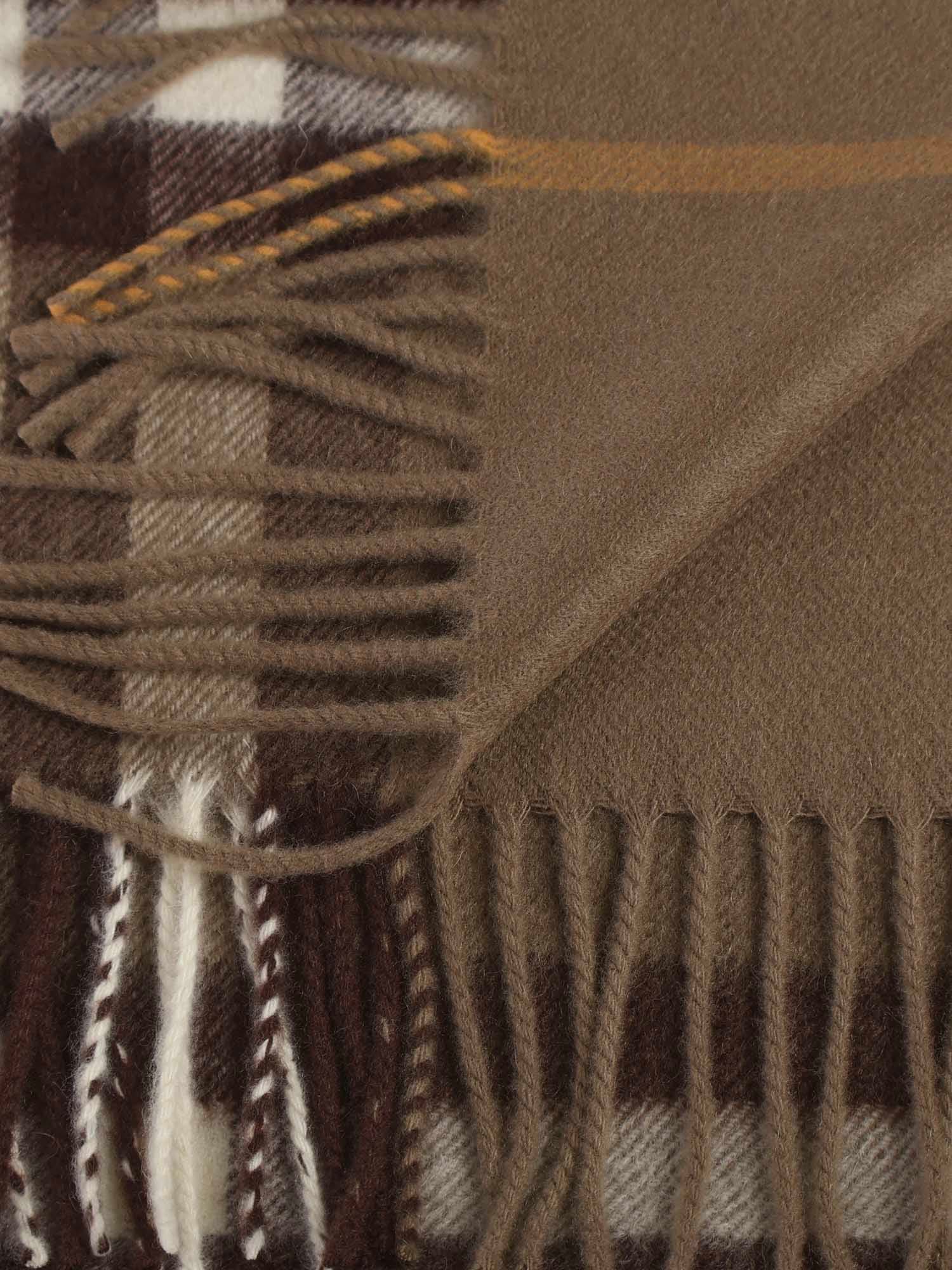Burberry Embroidered Cashmere Scarf In Brown