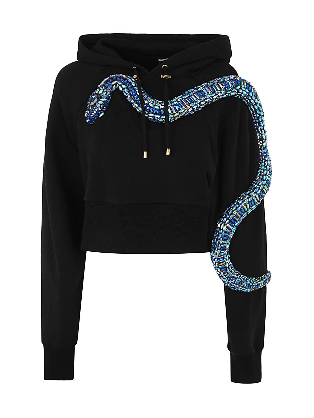 Balmain Hoodie Mit Schlangenapplikation In Eew Noir Bleu Hologramme
