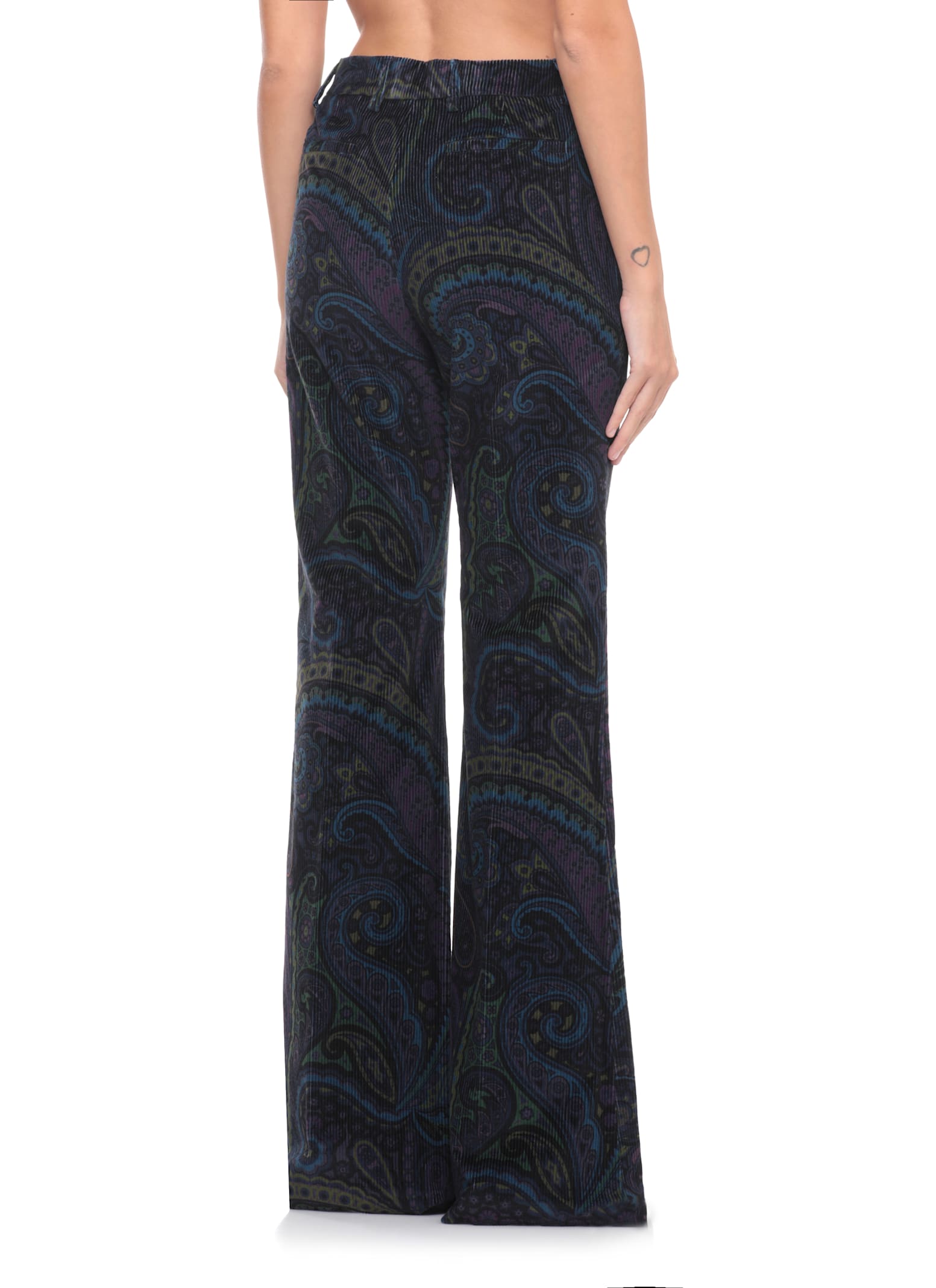 Etro Velvet Pants In Multi