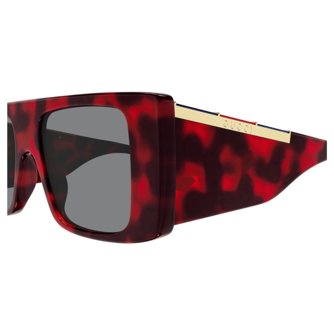 Gucci Gg1888s 003 In Multi