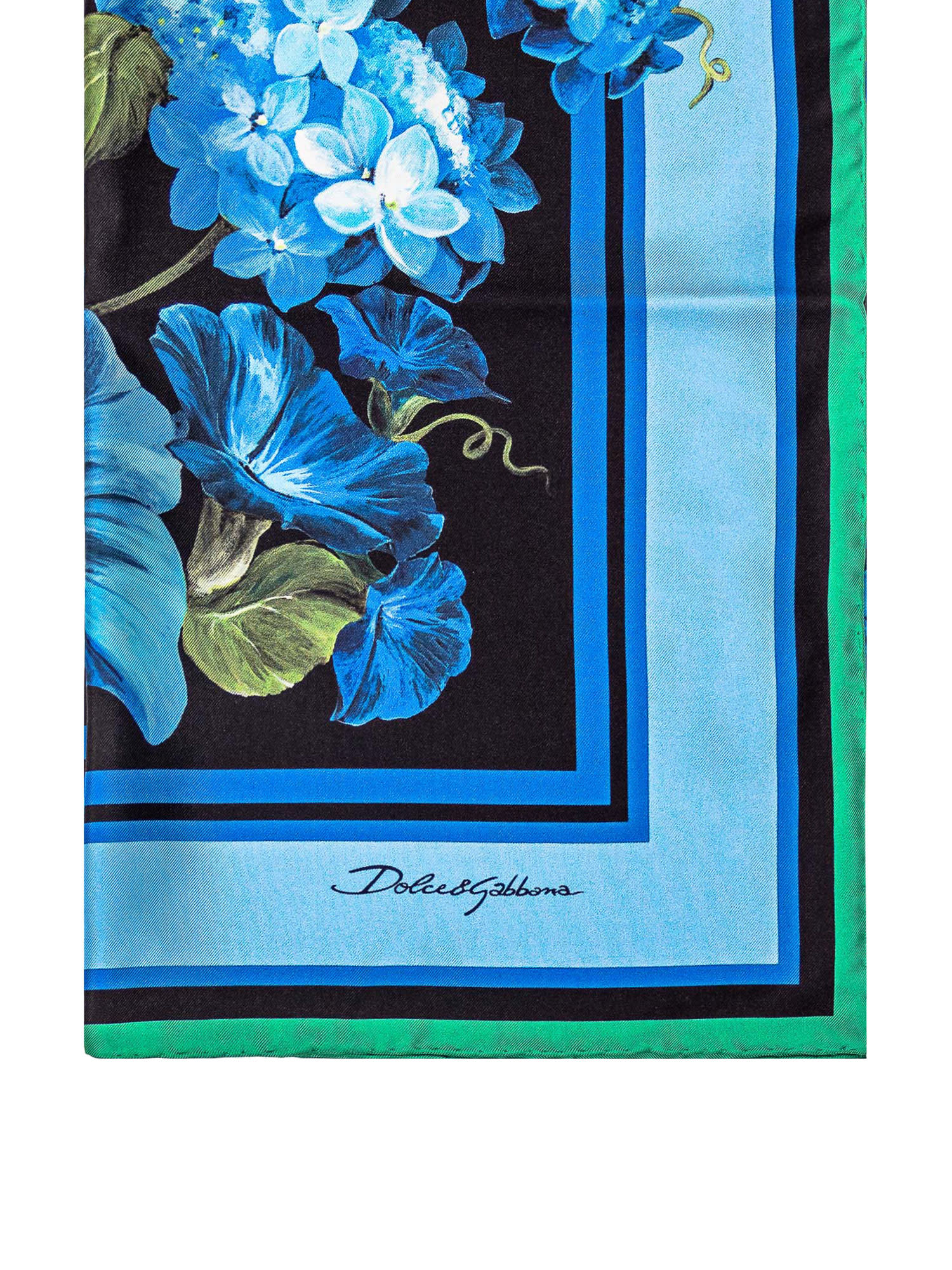 Shop Dolce & Gabbana Scarf In Twill Campanule Flower In Campanule Bor.azzurro