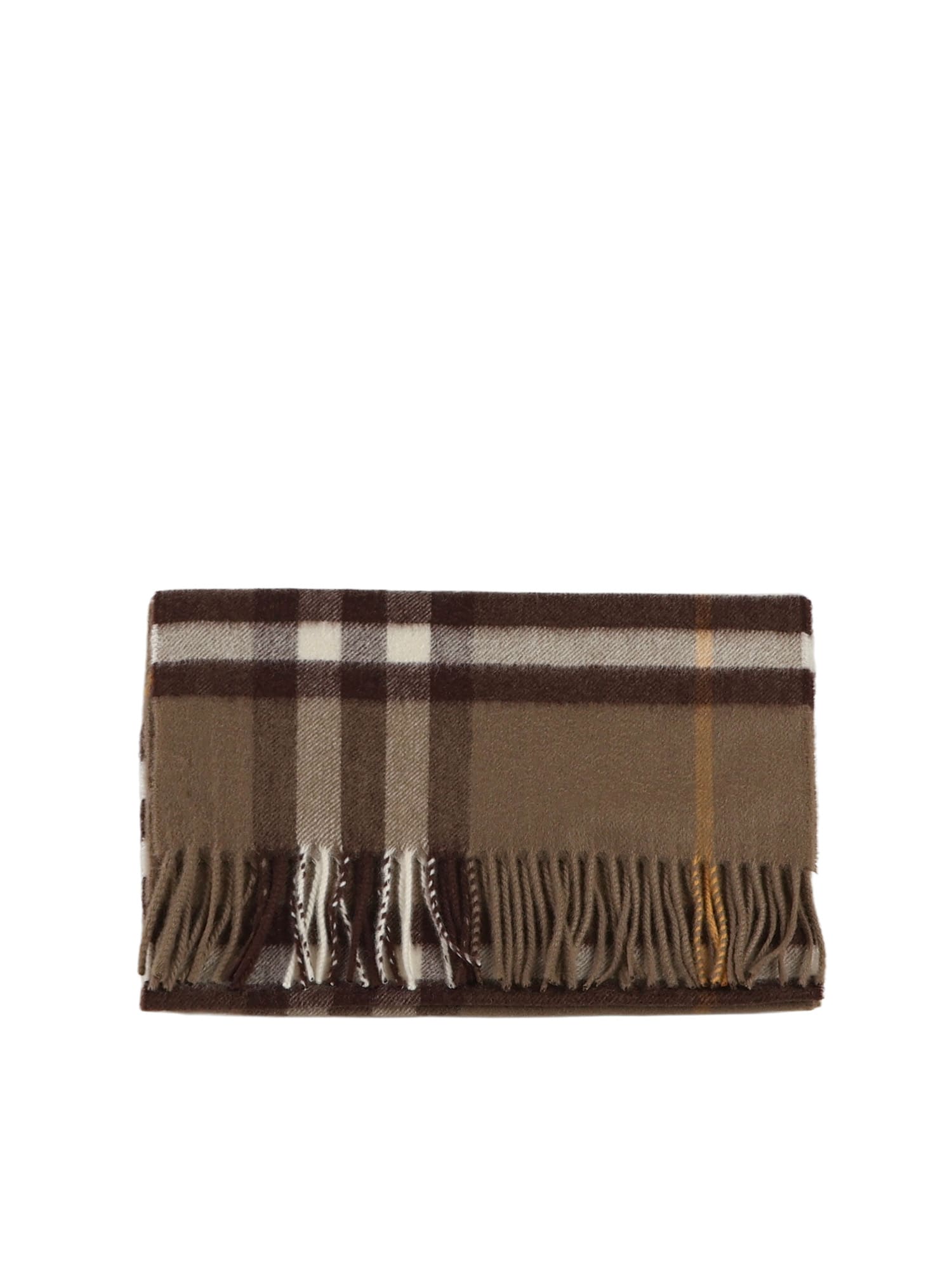 Burberry Embroidered Cashmere Scarf In Brown