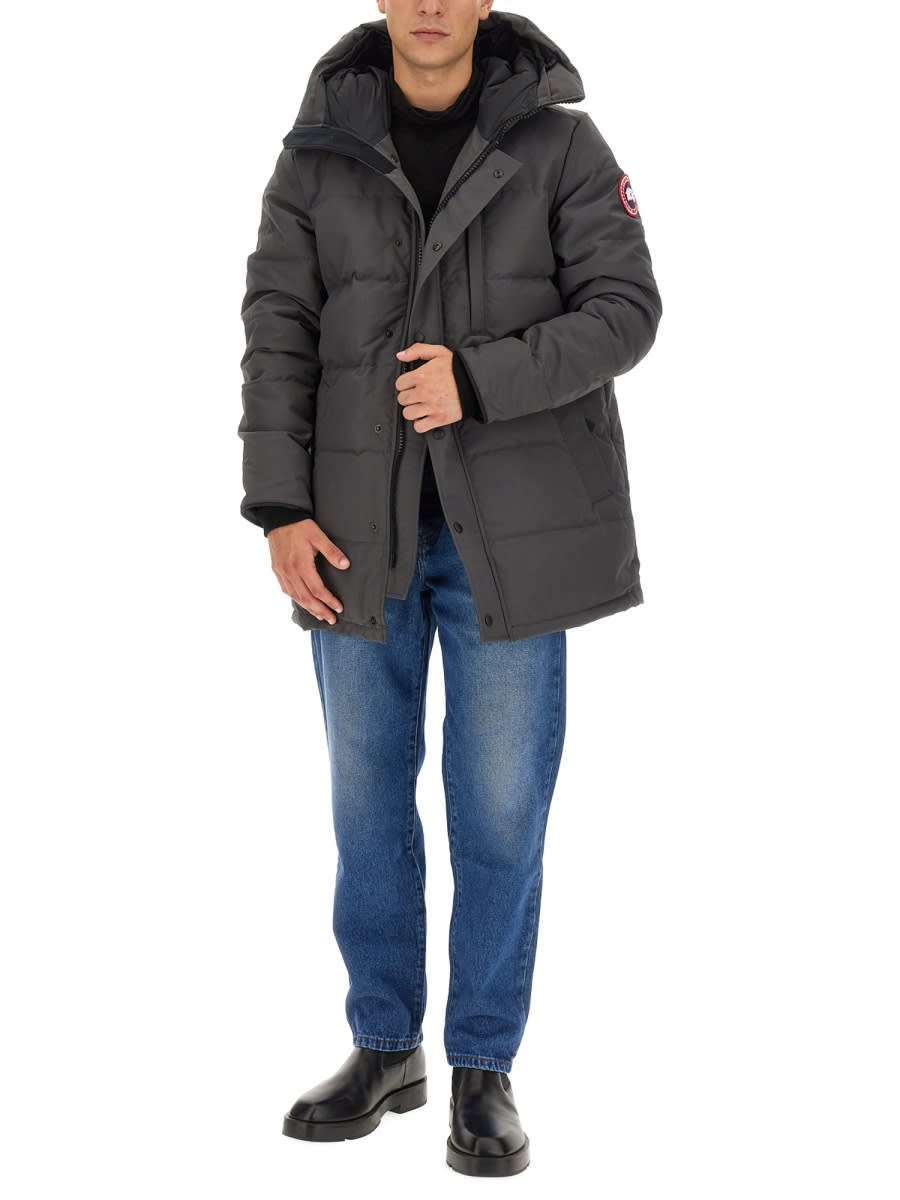 Shop Canada Goose Parka Carson In Grey