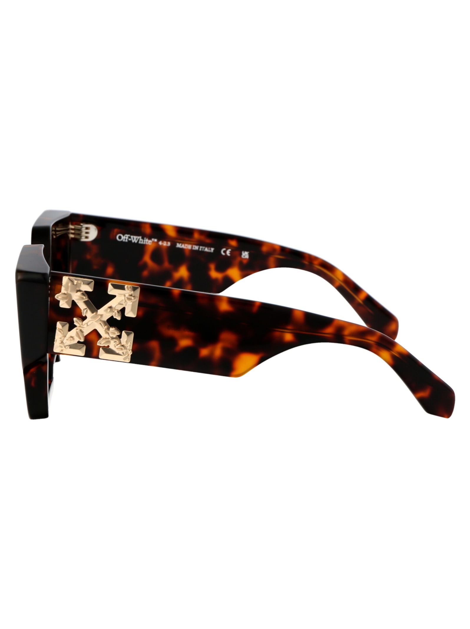 Off-white Eyewear Catalina Sunglasses In 6055 Havana