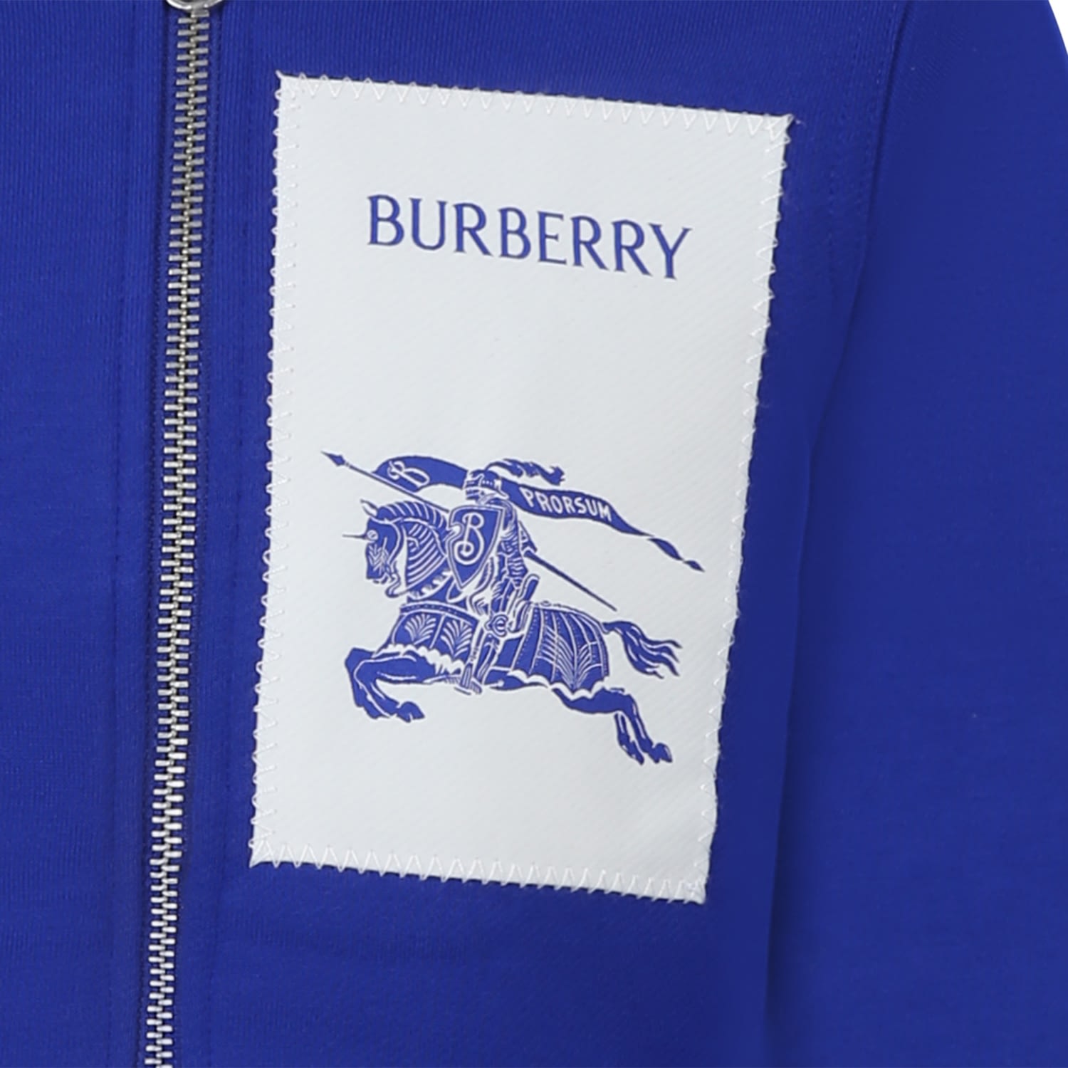 Shop Burberry Sweatshirt For Boys With Logo In Blue