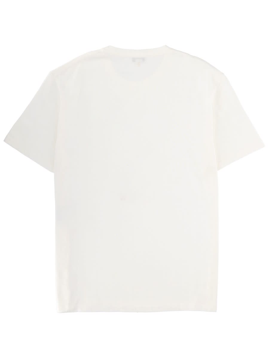 Alexander Mcqueen Skull Graphic Crew Neck Cotton T Shirt In White