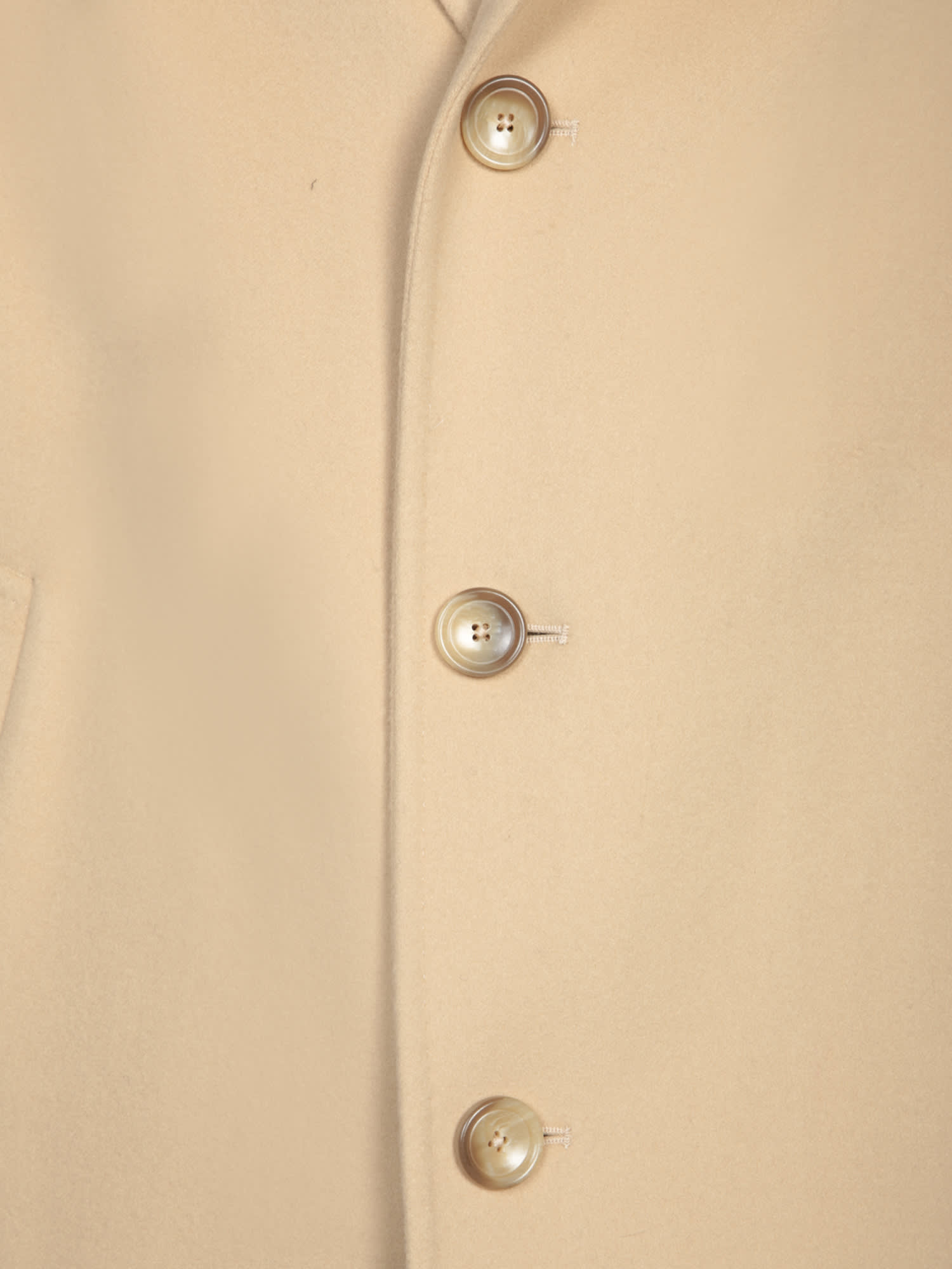 Shop Tagliatore Wool And Cashmere Coat In Beige
