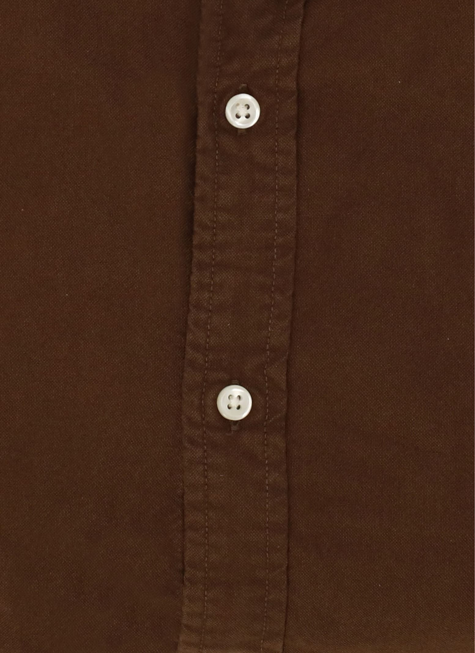 Ralph Lauren Cotton Shirt With Button-down Collar And Pony Embroidery In Brown