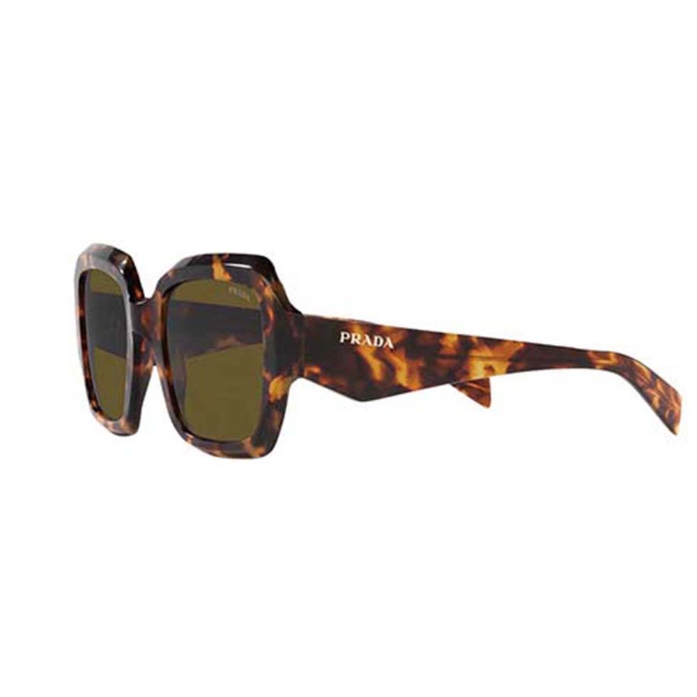 Shop Prada Sunglasses In Marrone/marrone