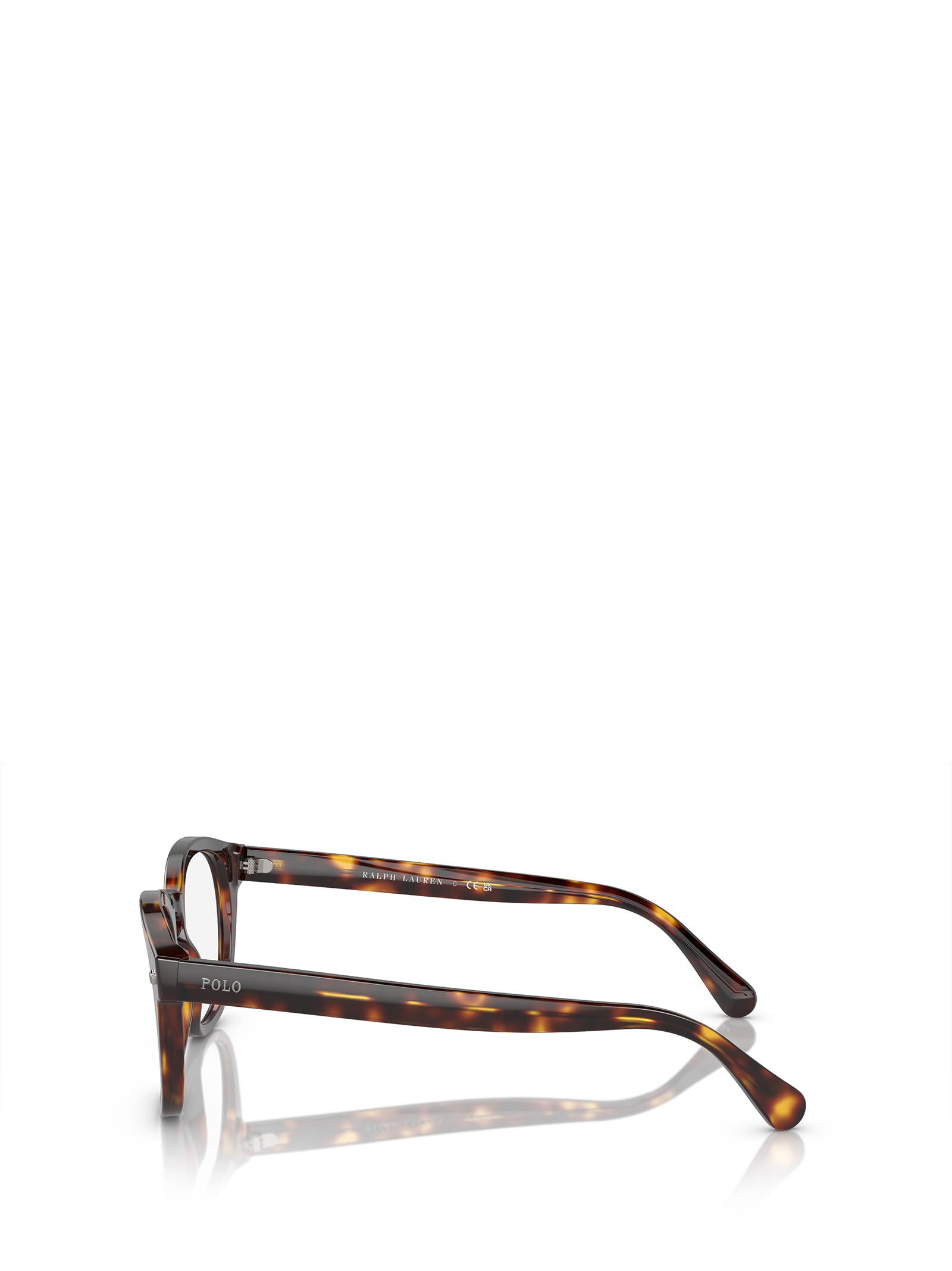 Shop Polo Ralph Lauren Ph2272 Shiny Brown Tortoise Glasses