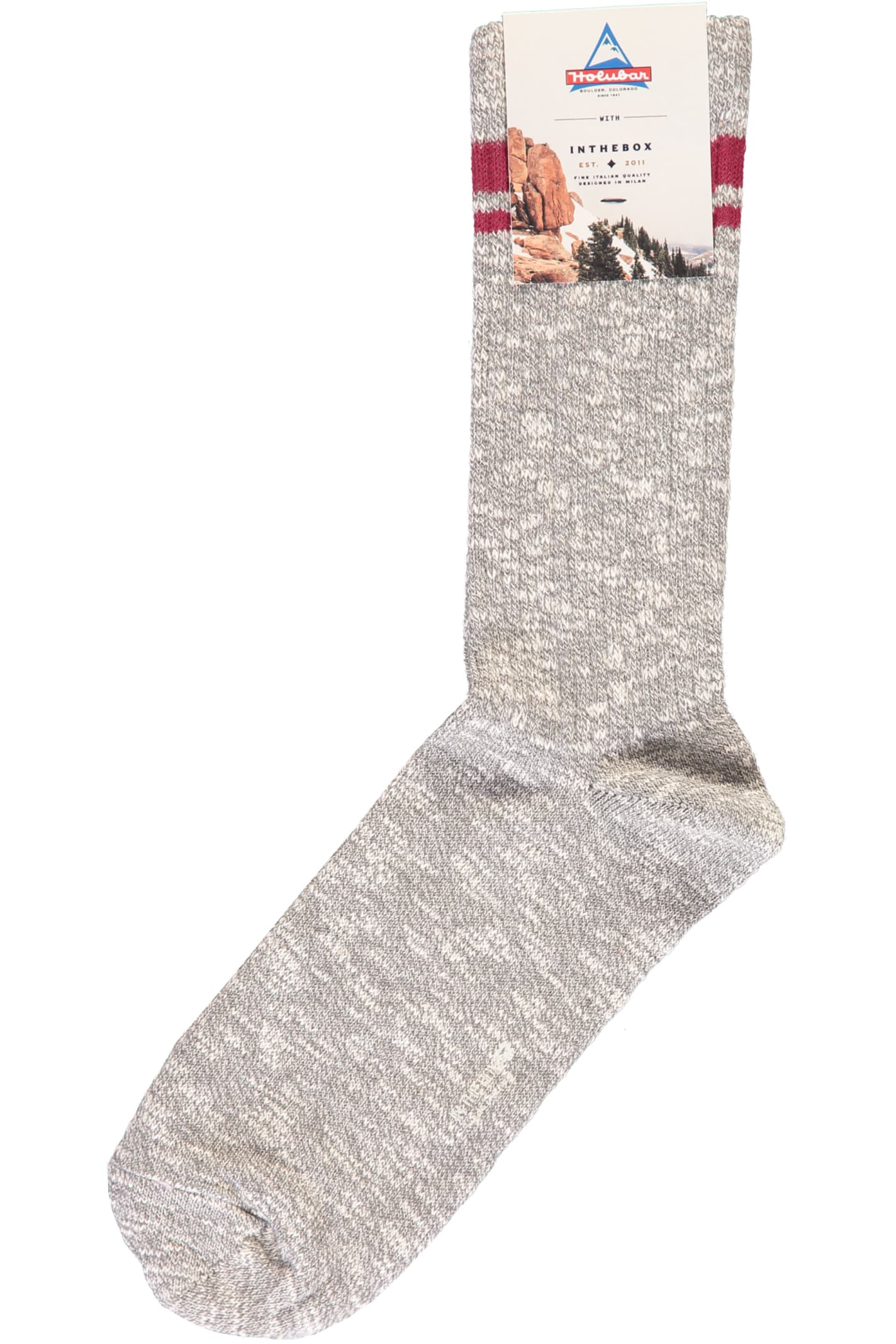 Shop Holubar Cotton Socks In Grey