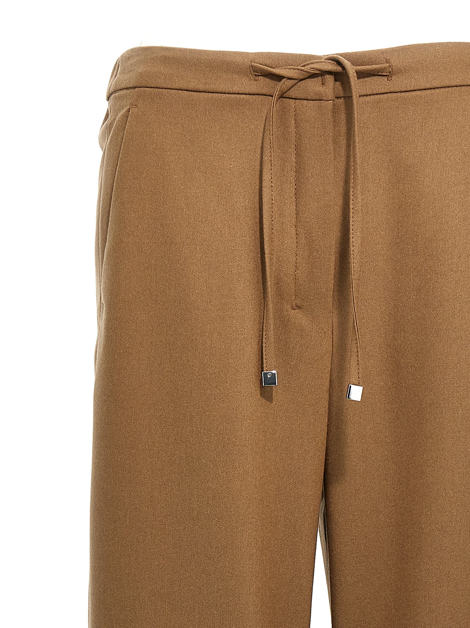S Max Mara Floria Pants In Cammello