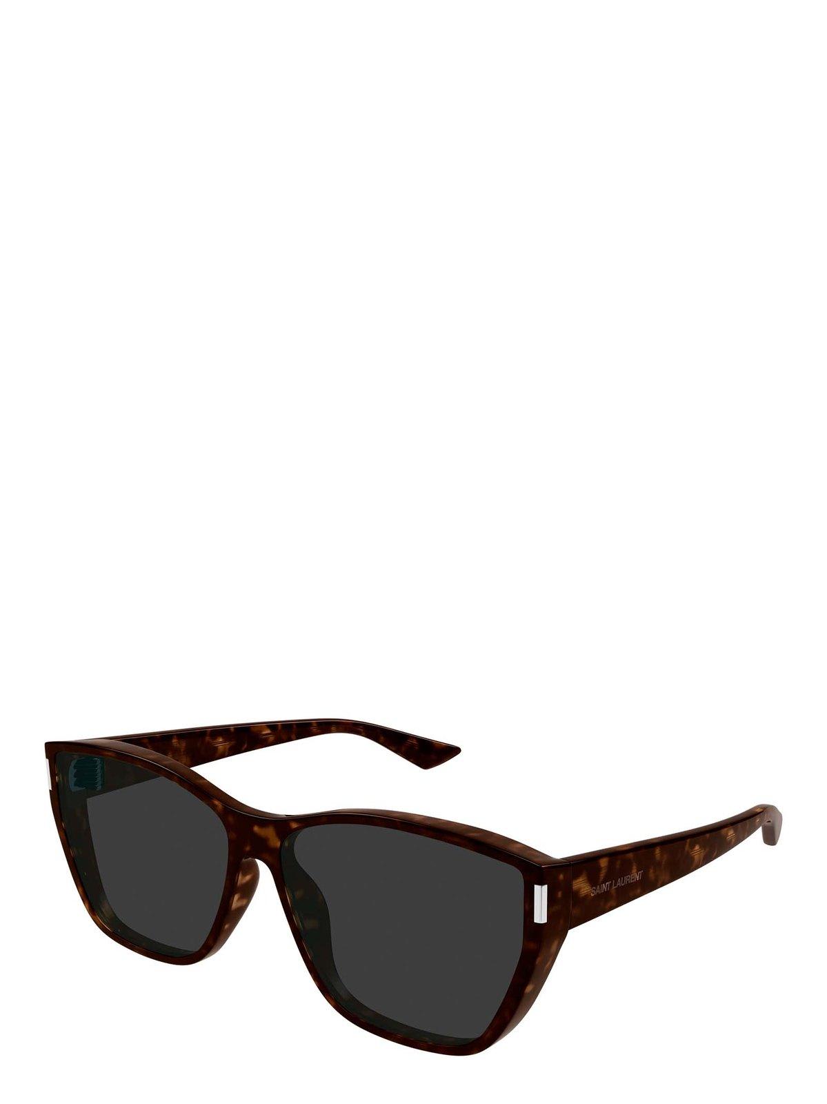 Saint Laurent Havana-havana-grey Bio Injection Sunglasses In Black