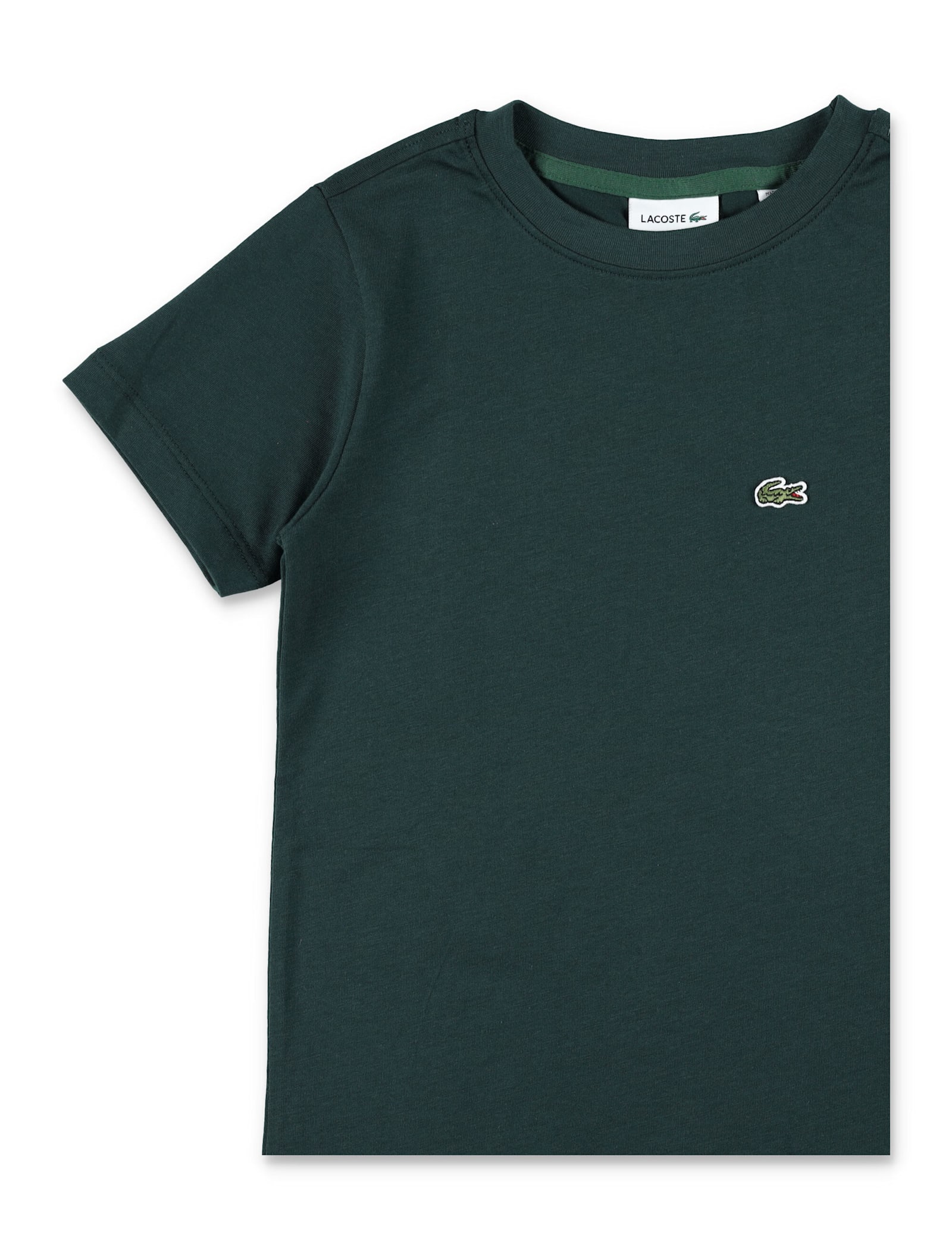 Lacoste Kids Organic Cotton T-shirt In Green