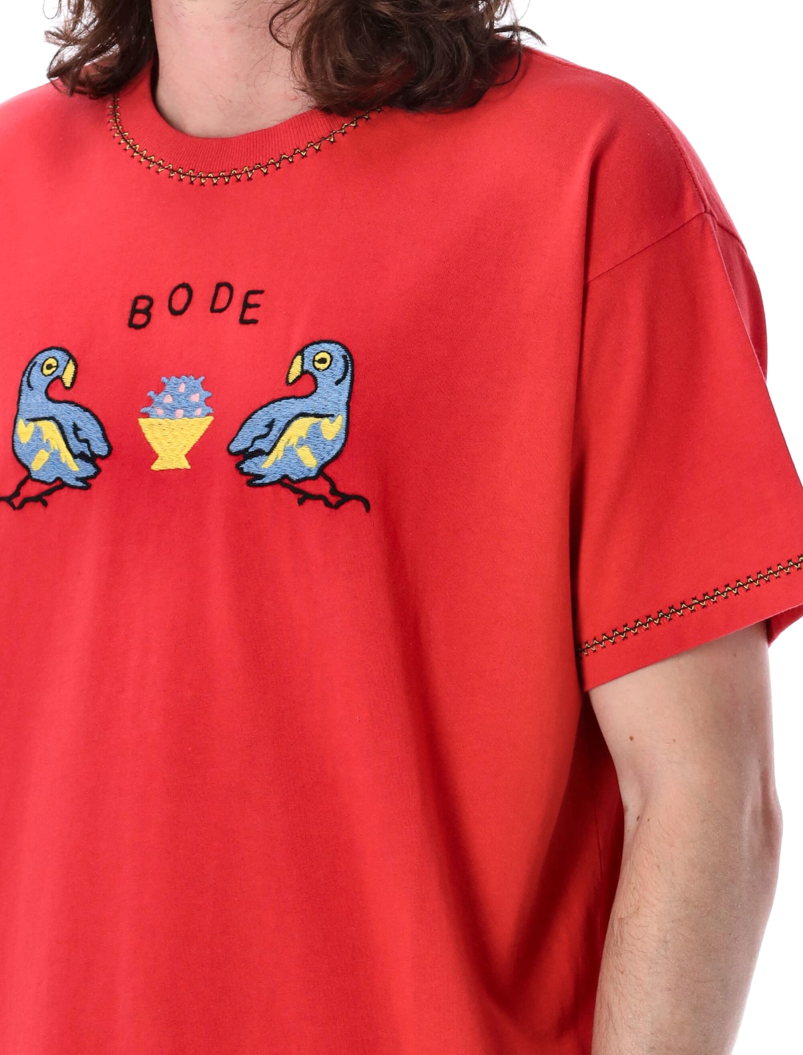 Shop Bode Twin Parakeet T-shirt In Red