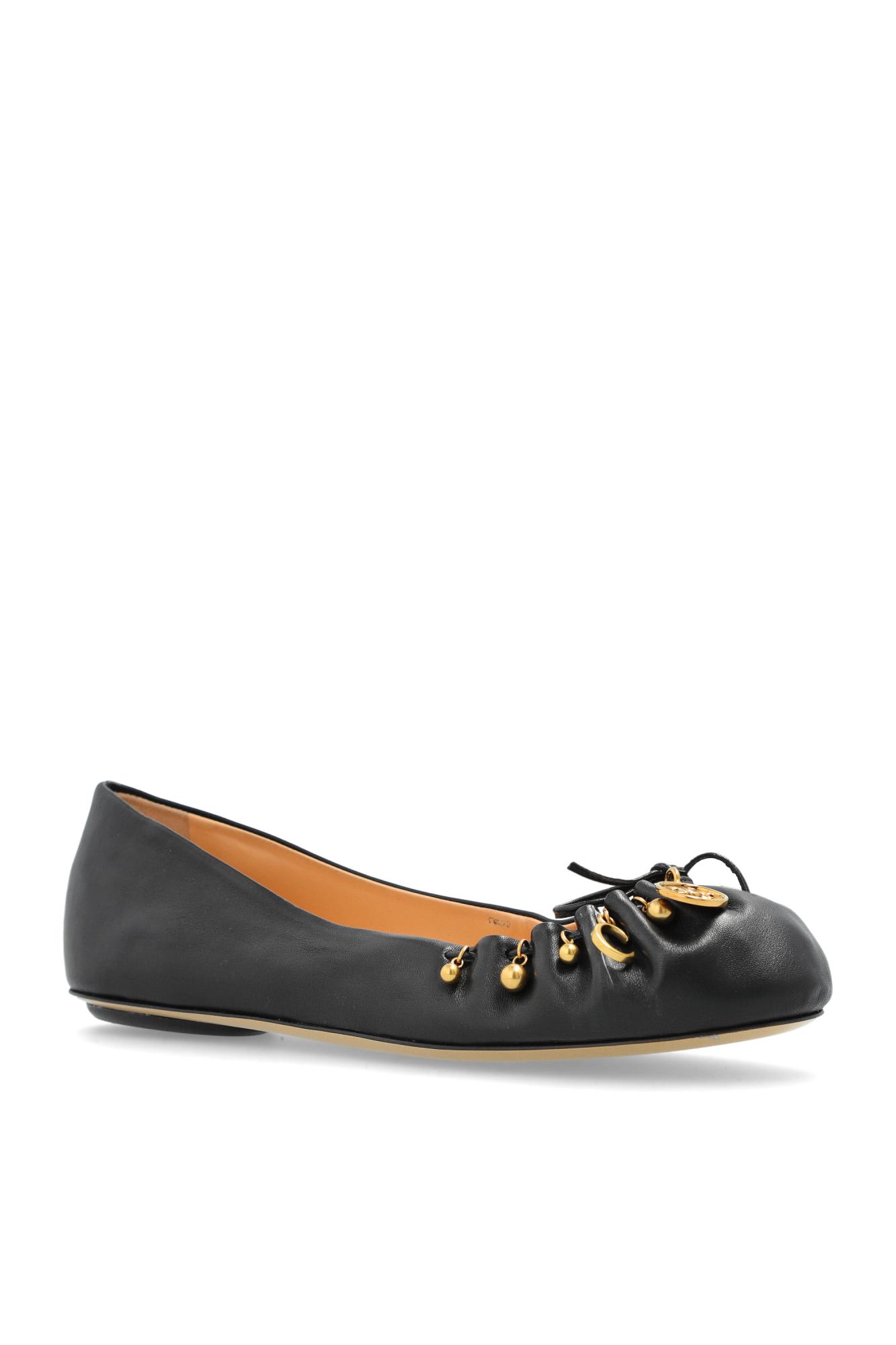 Chloé Leather Ballet Flats In Multi