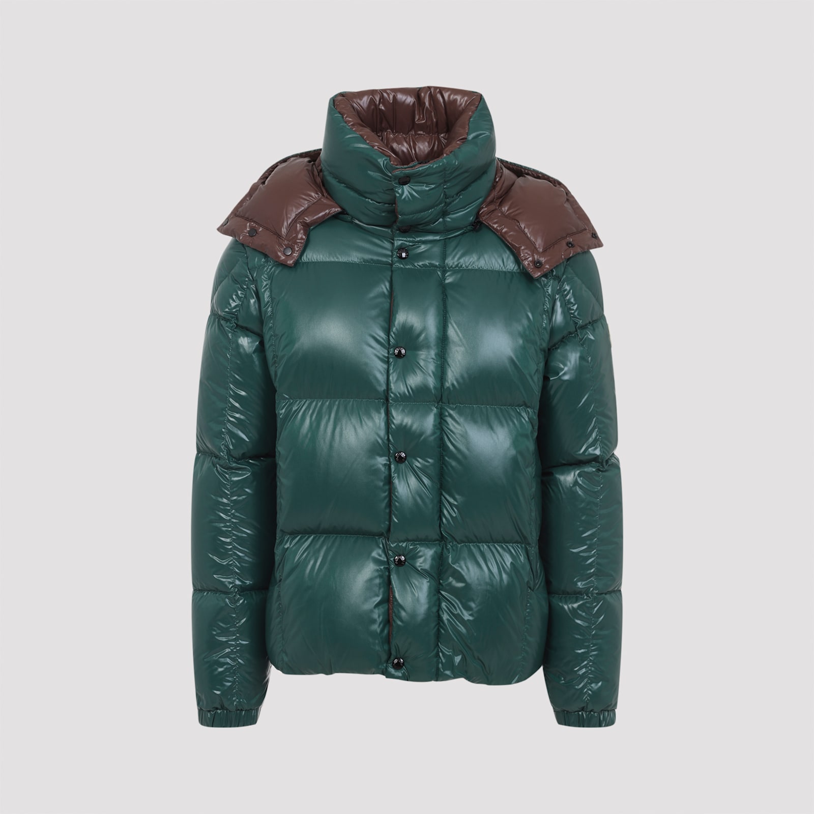 Moncler Parana Glossy Hooded Short Down Jacket Clothing In Multi
