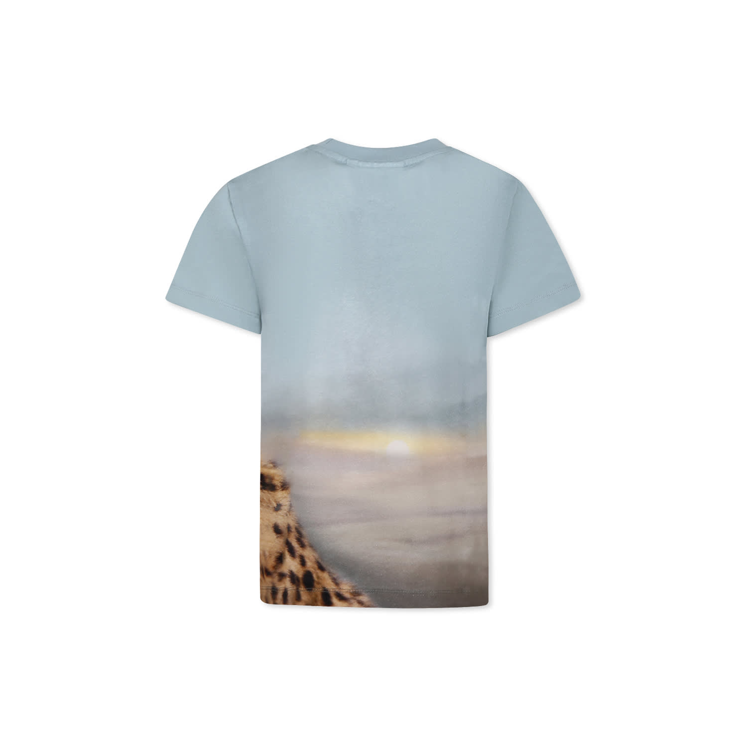 Molo Light Blue T-shirt For Boy With Cheetah In Light Blue