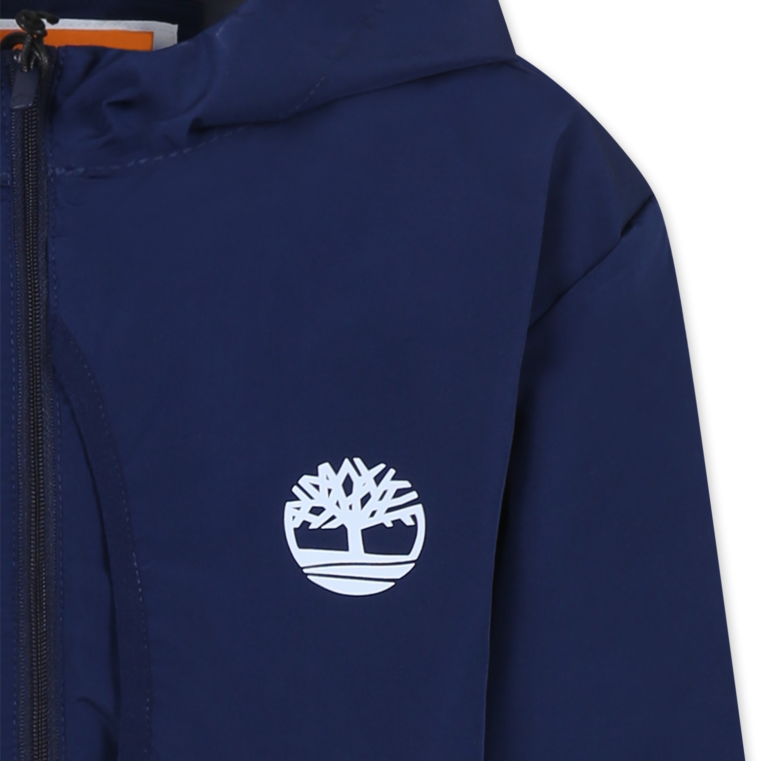 Timberland Blue Windbreaker Jacket For Boy With Logo In Blue