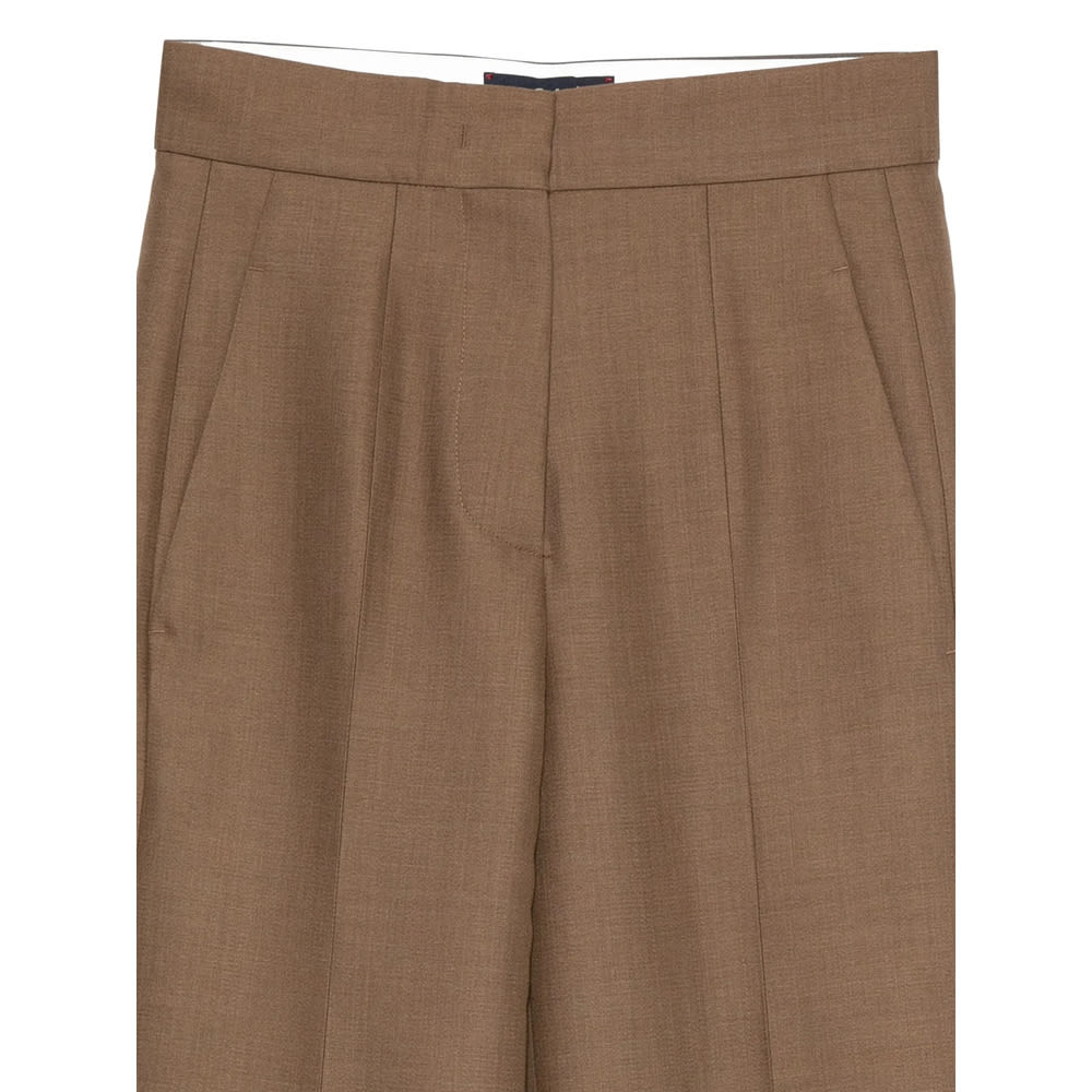 The Seafarer Pleated Pants In Brown