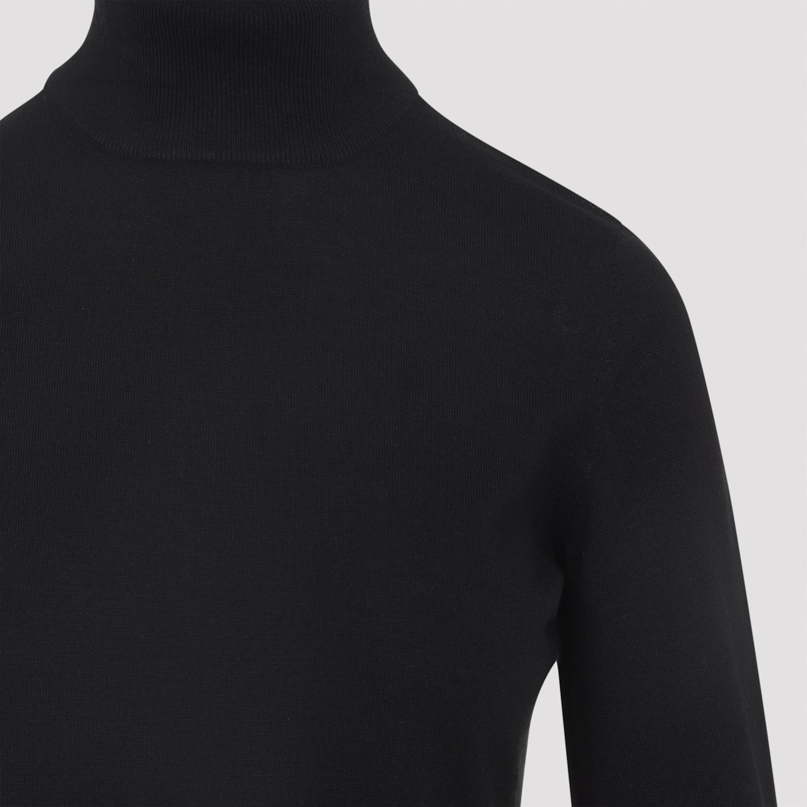 Max Mara Meana Turtleneck In Black