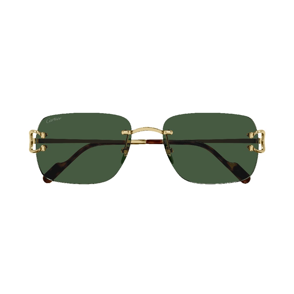 Cartier Eyewear CT0330S 002 Sunglasses
