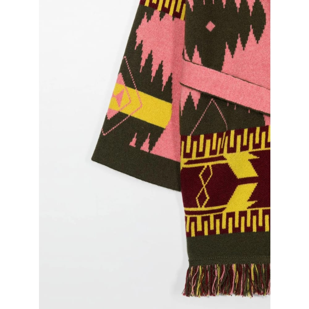 Alanui Sweater In Multi