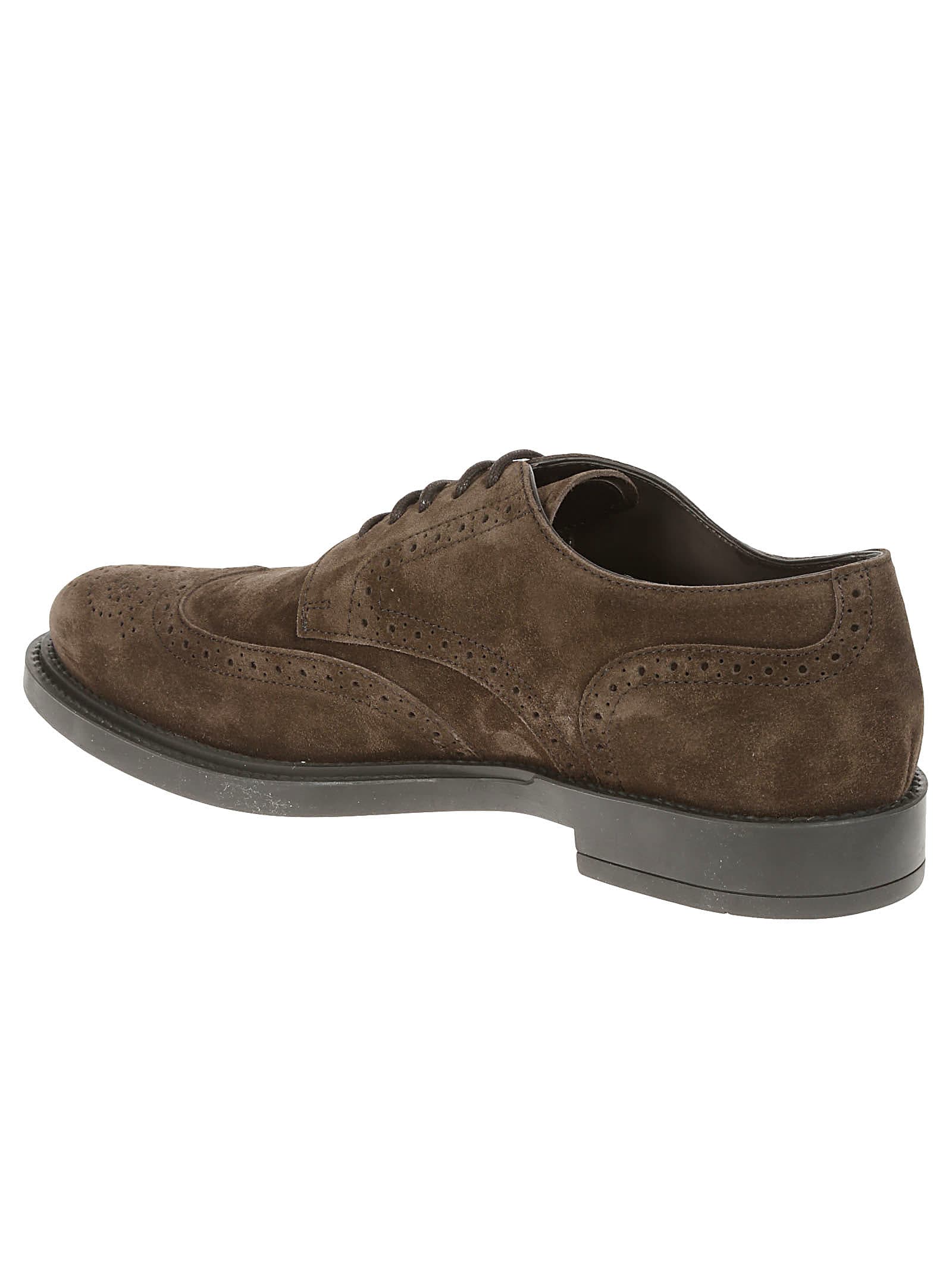 Shop Tod's Bucature Perforated Derby Shoes Tods In Brown