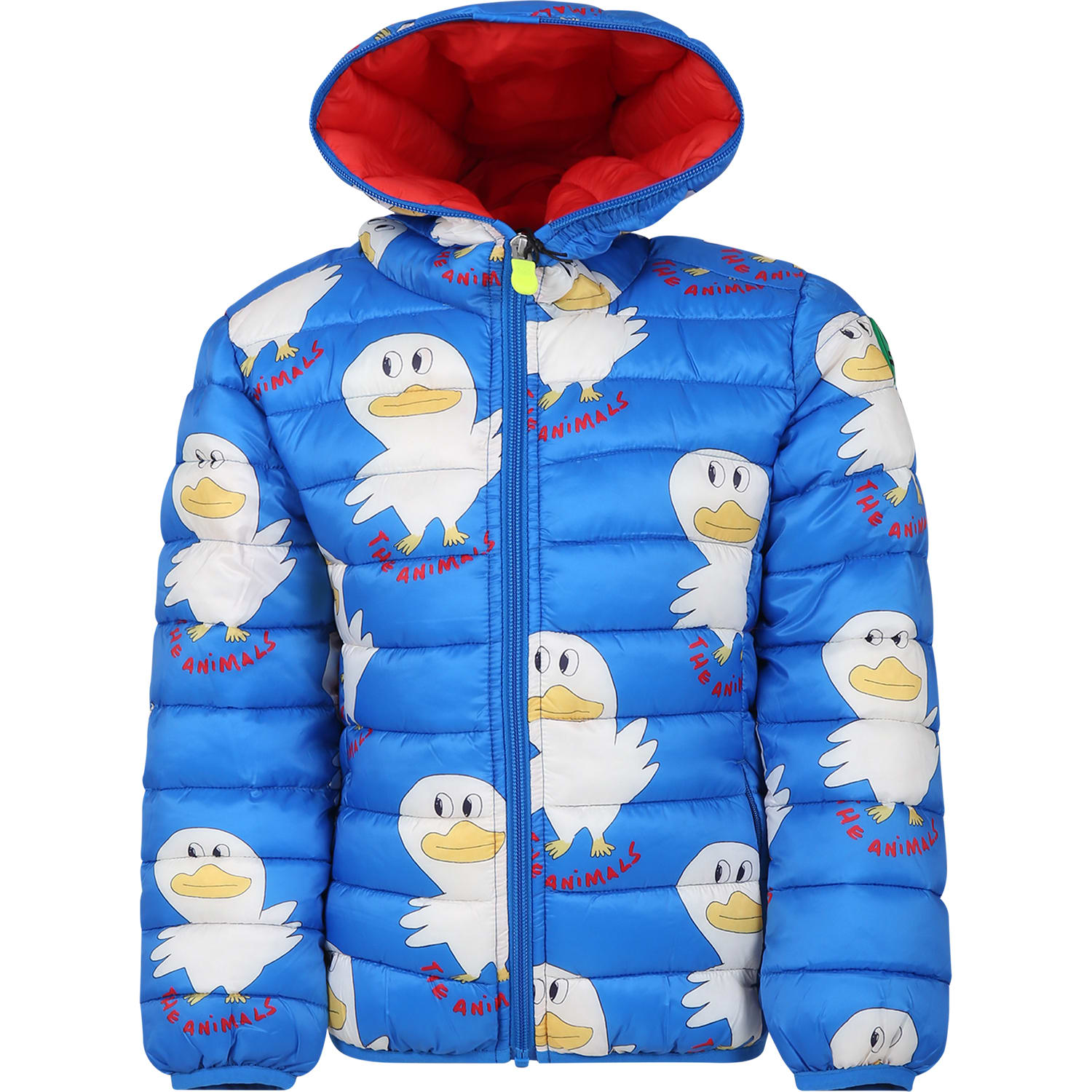 Shop Save The Duck Light Blue Lobster Down Jacket For Boy With Duck Print And Logo