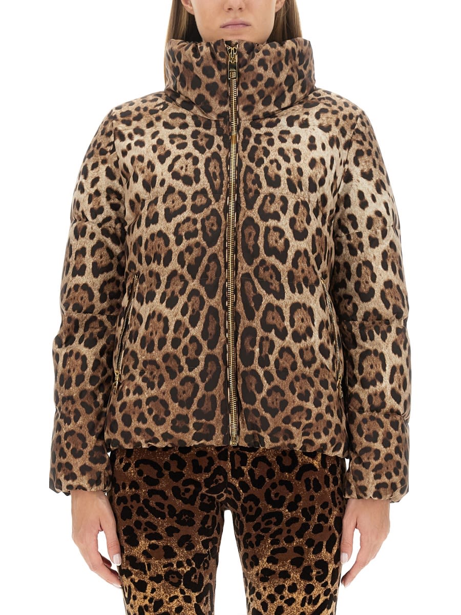 Shop Dolce & Gabbana Leopard Print Padded Jacket In Multicolour