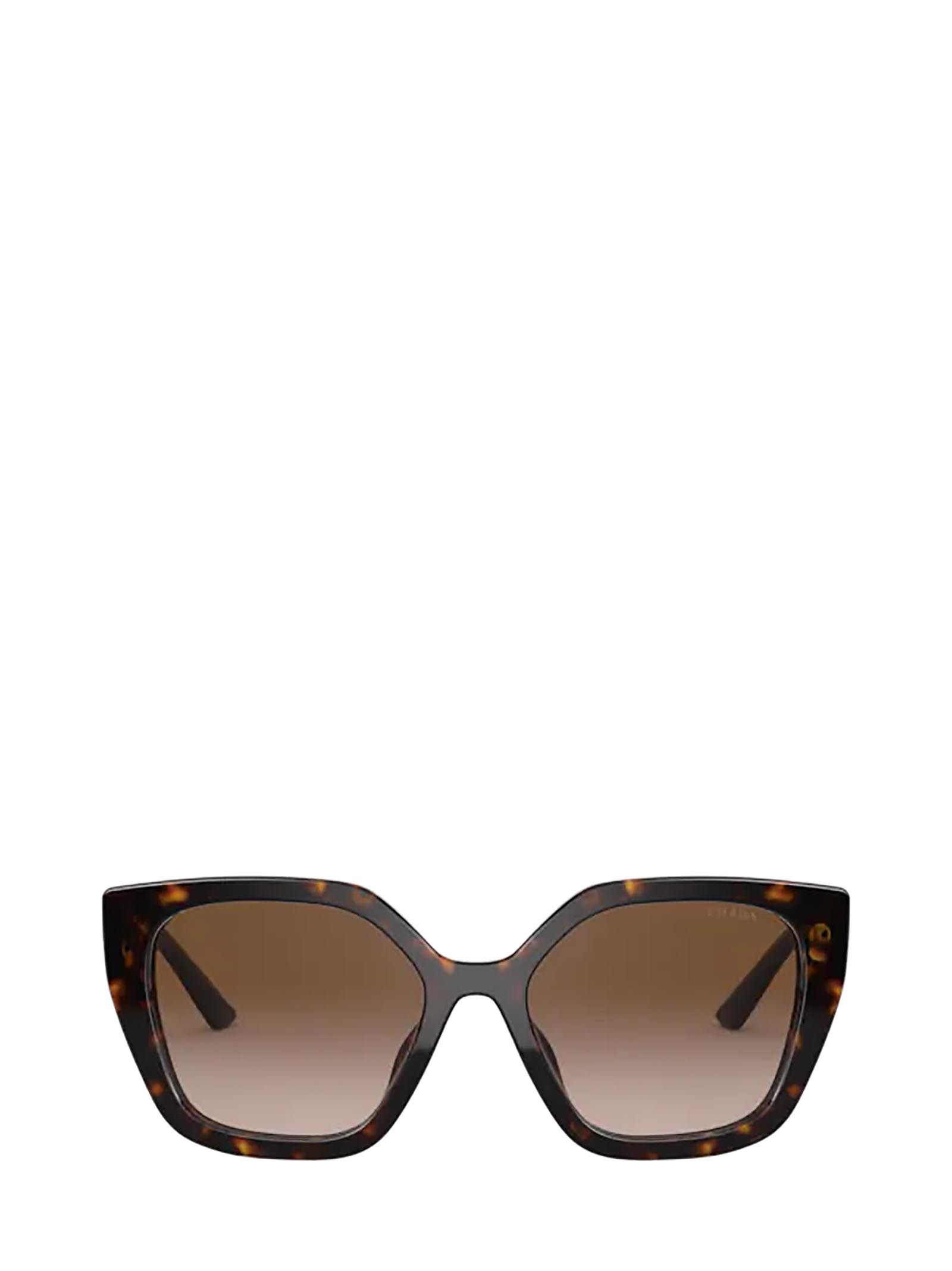 Shop Prada Pr 24xs Havana Sunglasses