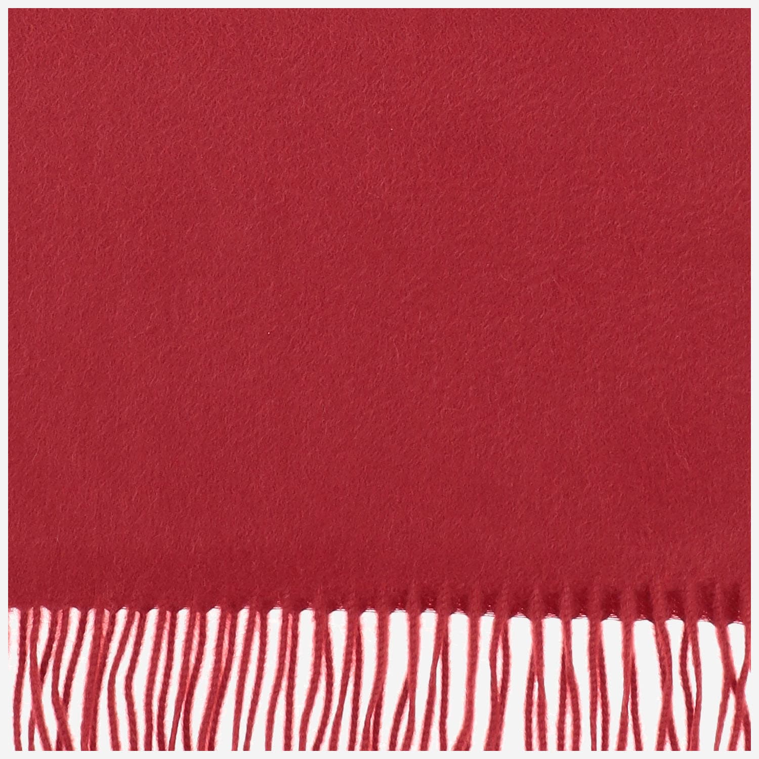 Shop Alex Begg Cashmere Scarf In Red