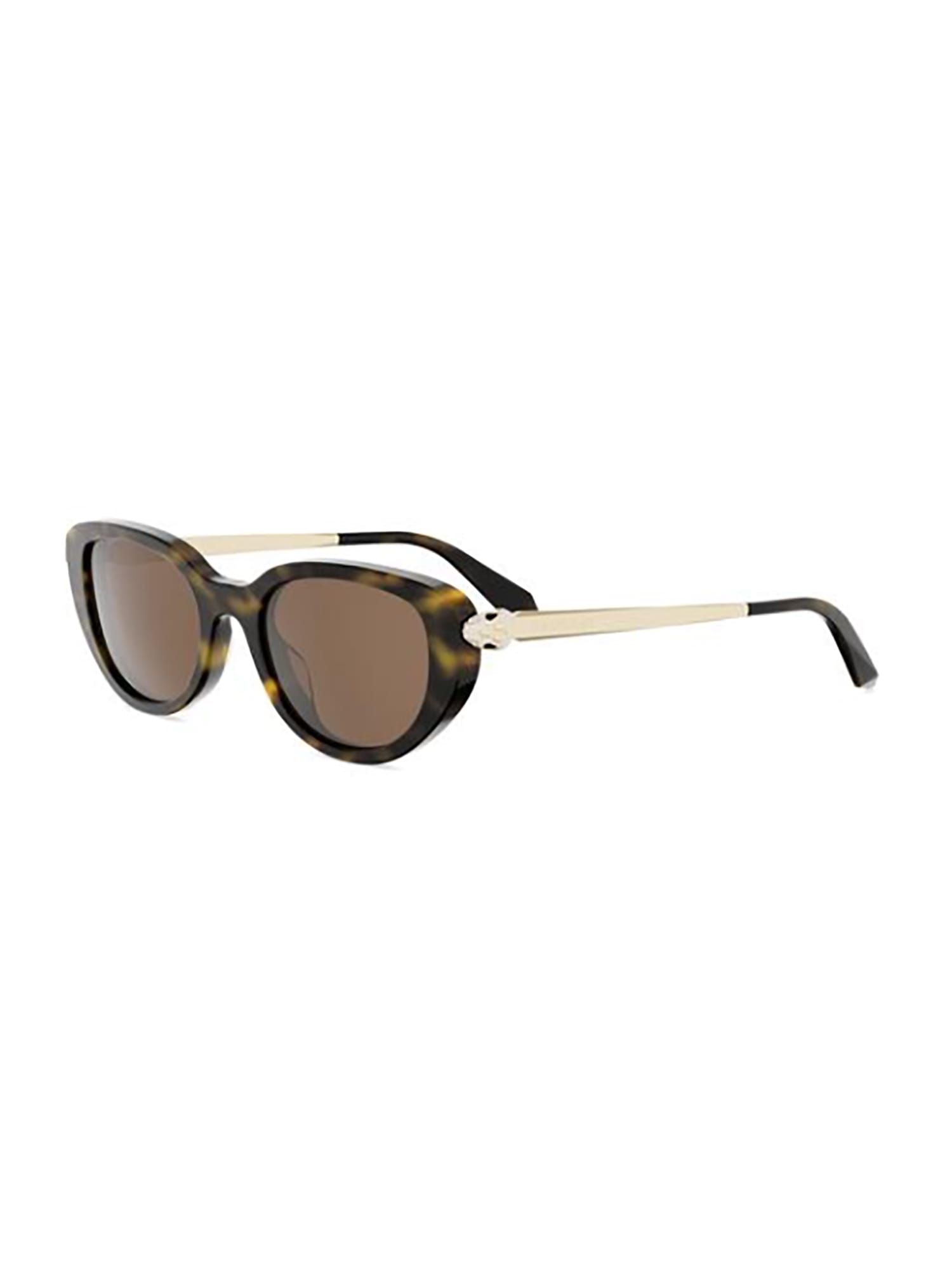 Bulgari Bv40067i Sunglasses In Brown