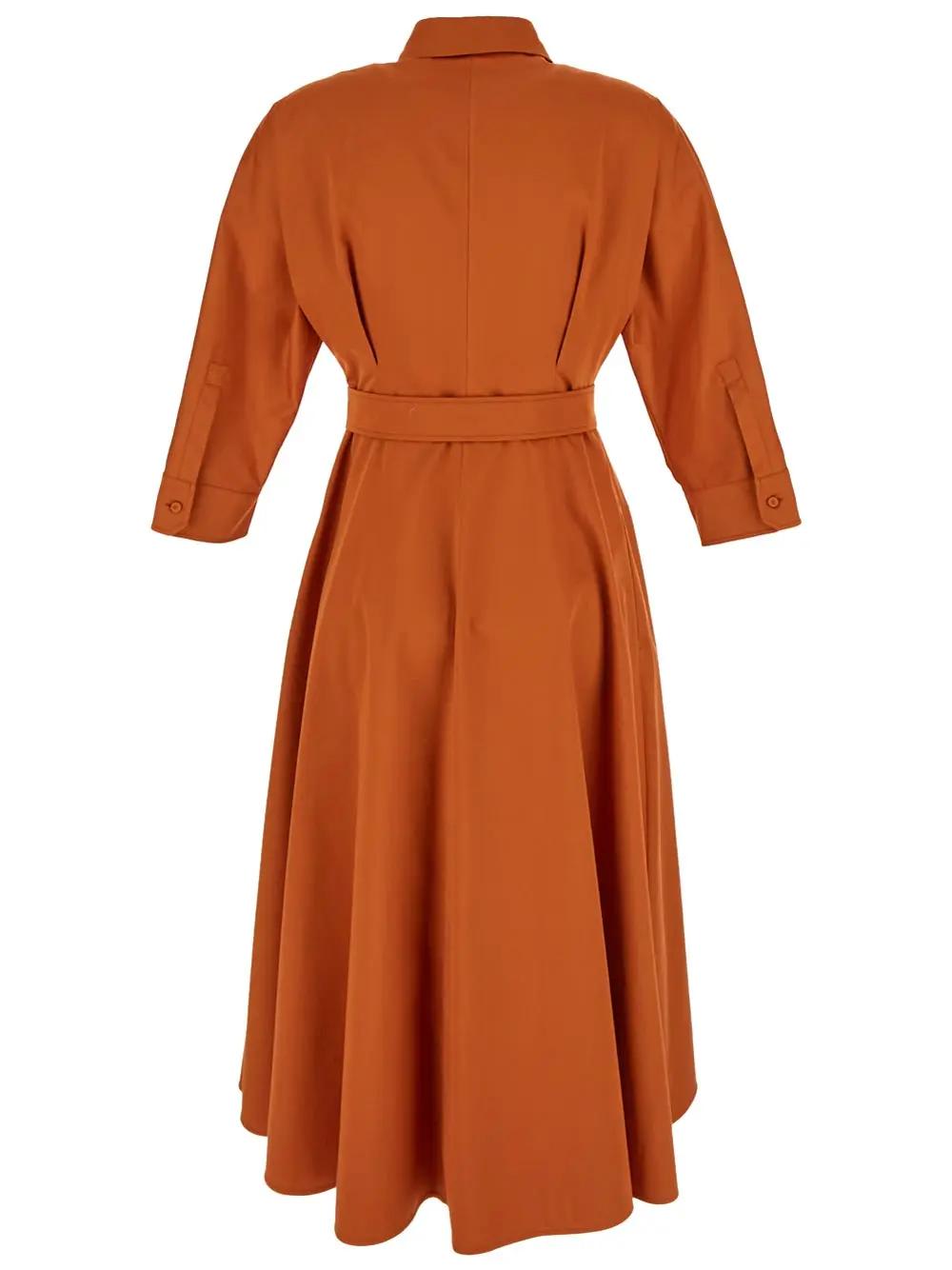Shop Max Mara Sibari Dress In Brown