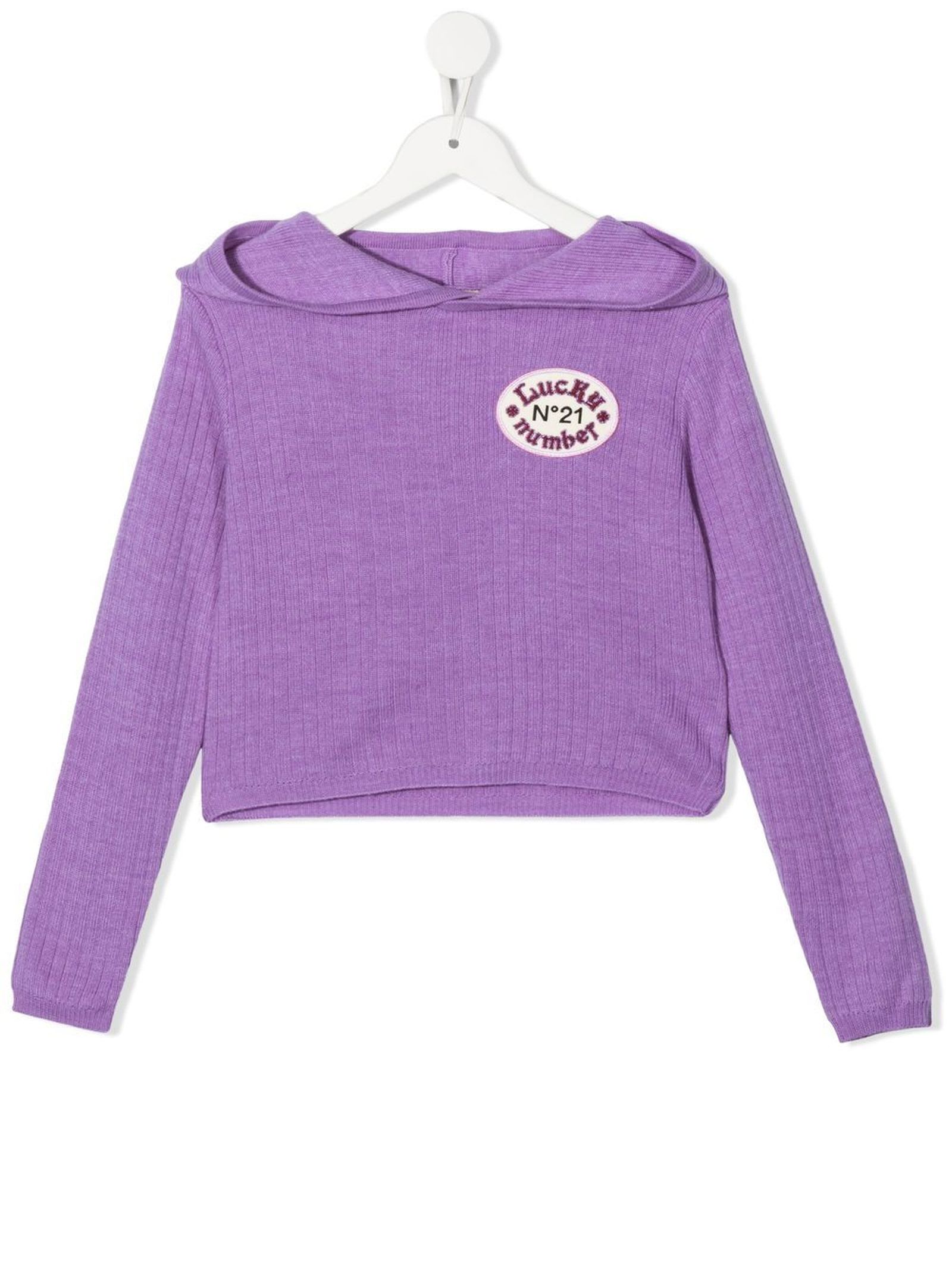 N.21 Violet Polyester Sweatshirt